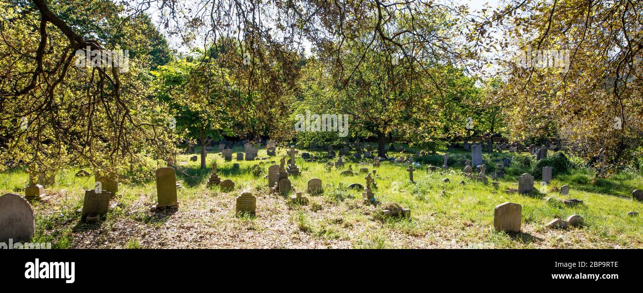 Brompton Cemetery, one of the Magnificent Seven London cemeteries, Old Brompton Road, London Stock Photo