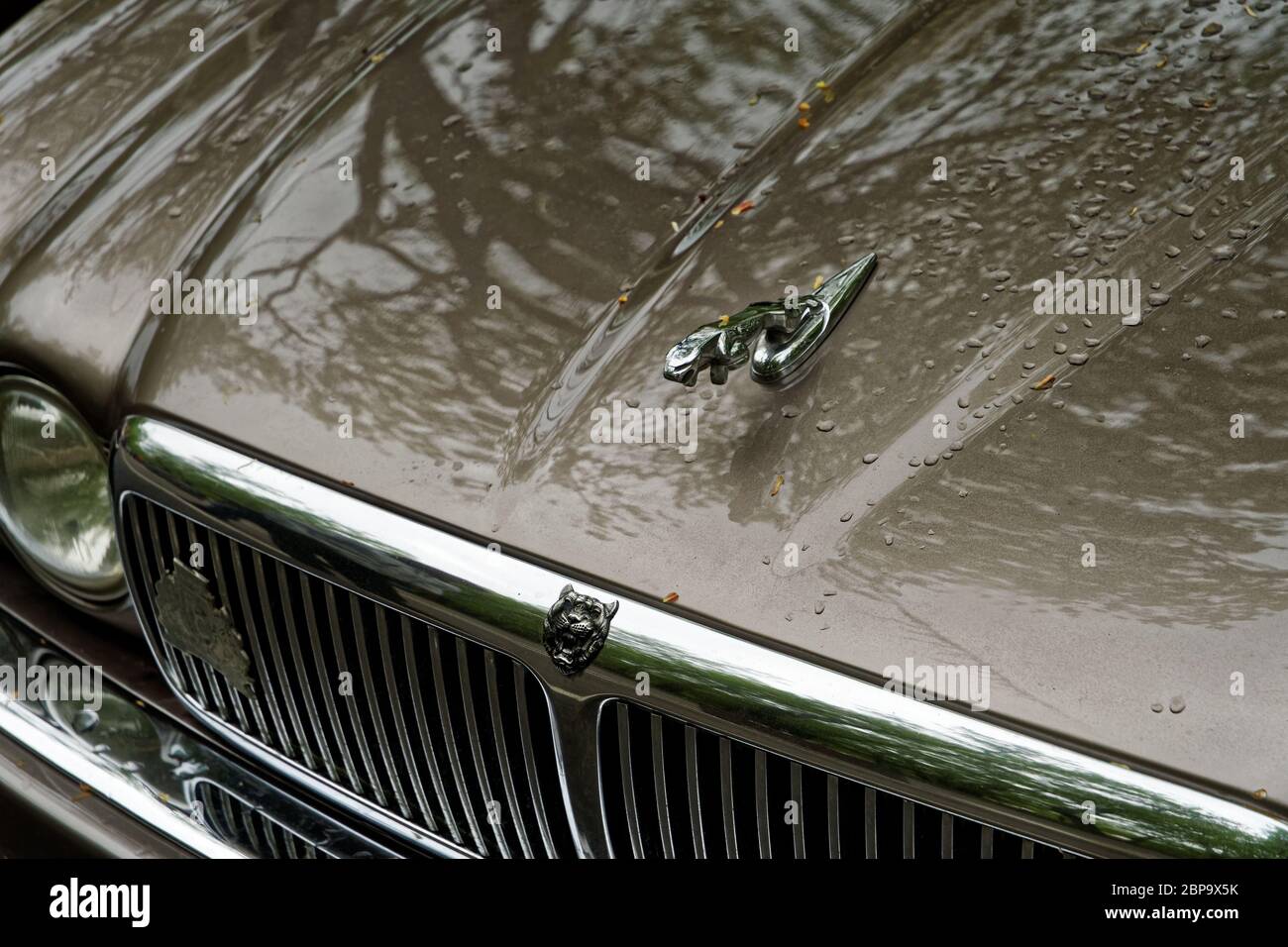 Photo Jaguar, Classic Cars,England Stock Photo
