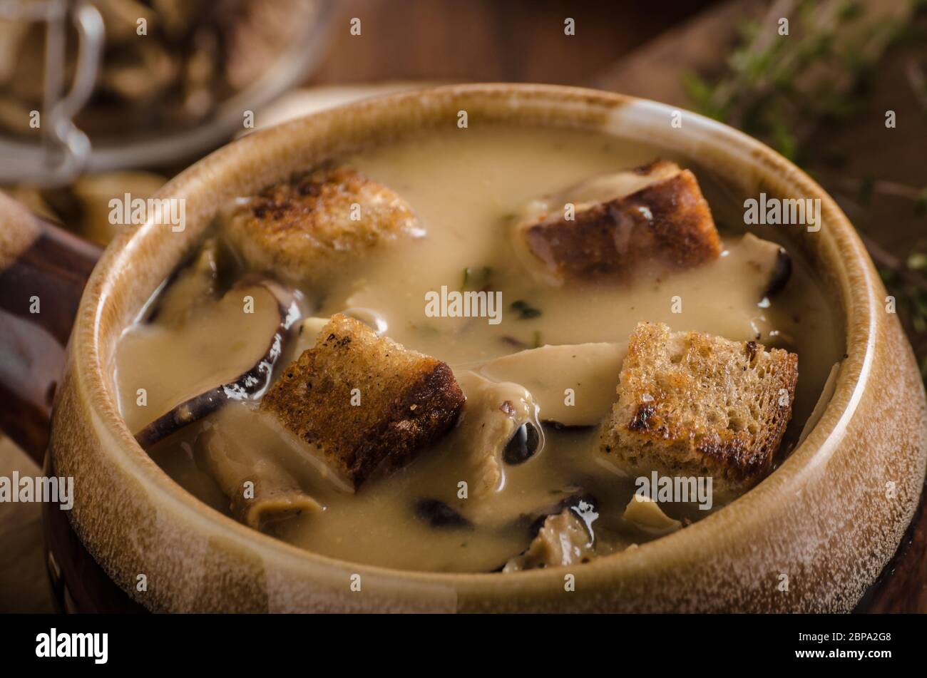 Rustic mushrooms soup, czech forest mushrooms, fresh collect in woods ...