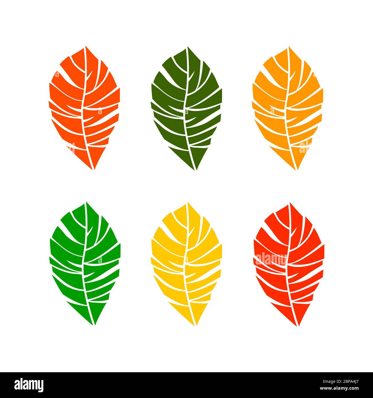 Set of autumn leaves on white background. Vector illustration Stock ...