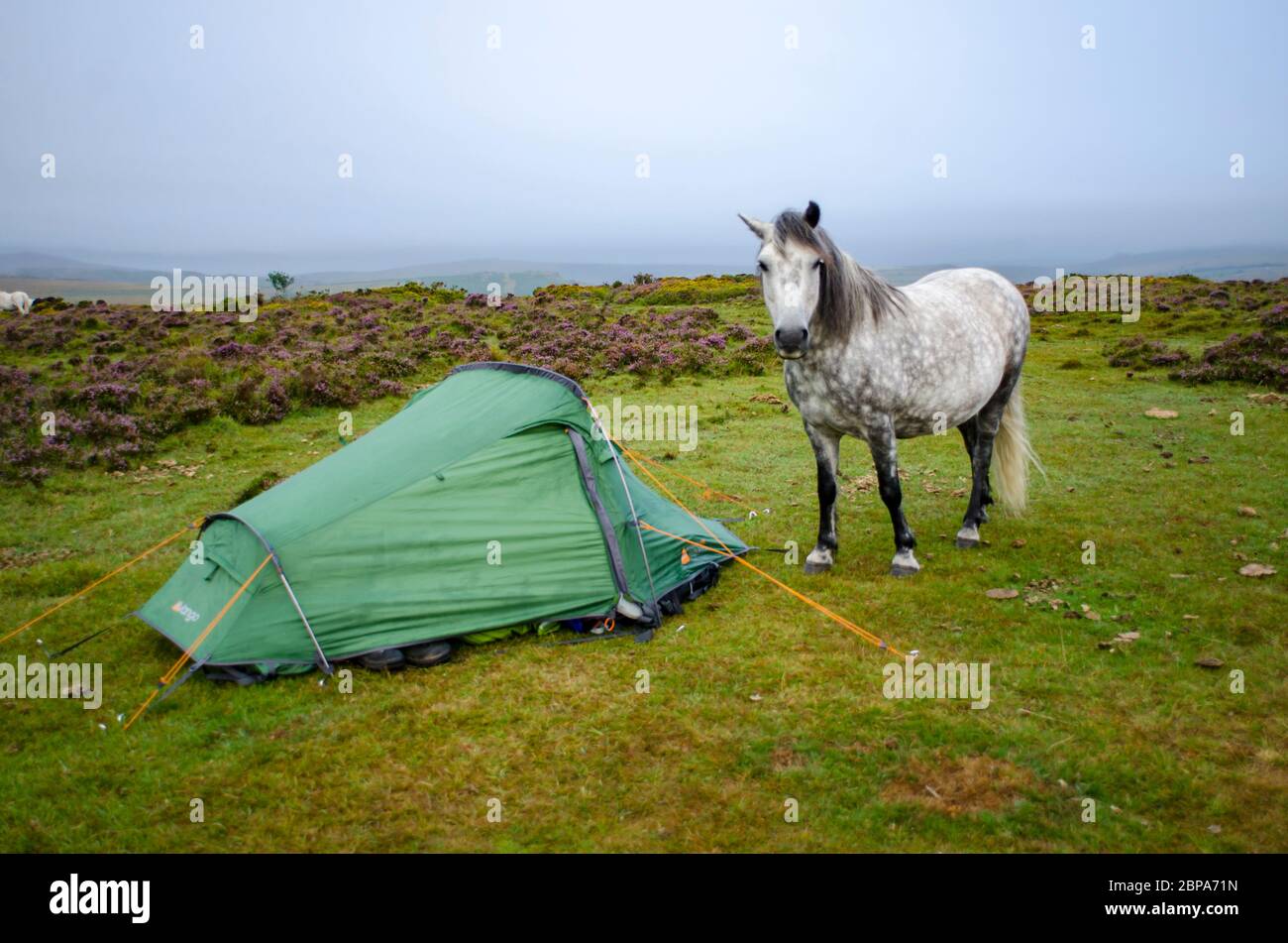 Wild Camping On Dartmoor National Park Devon Uk Stock Photo Alamy