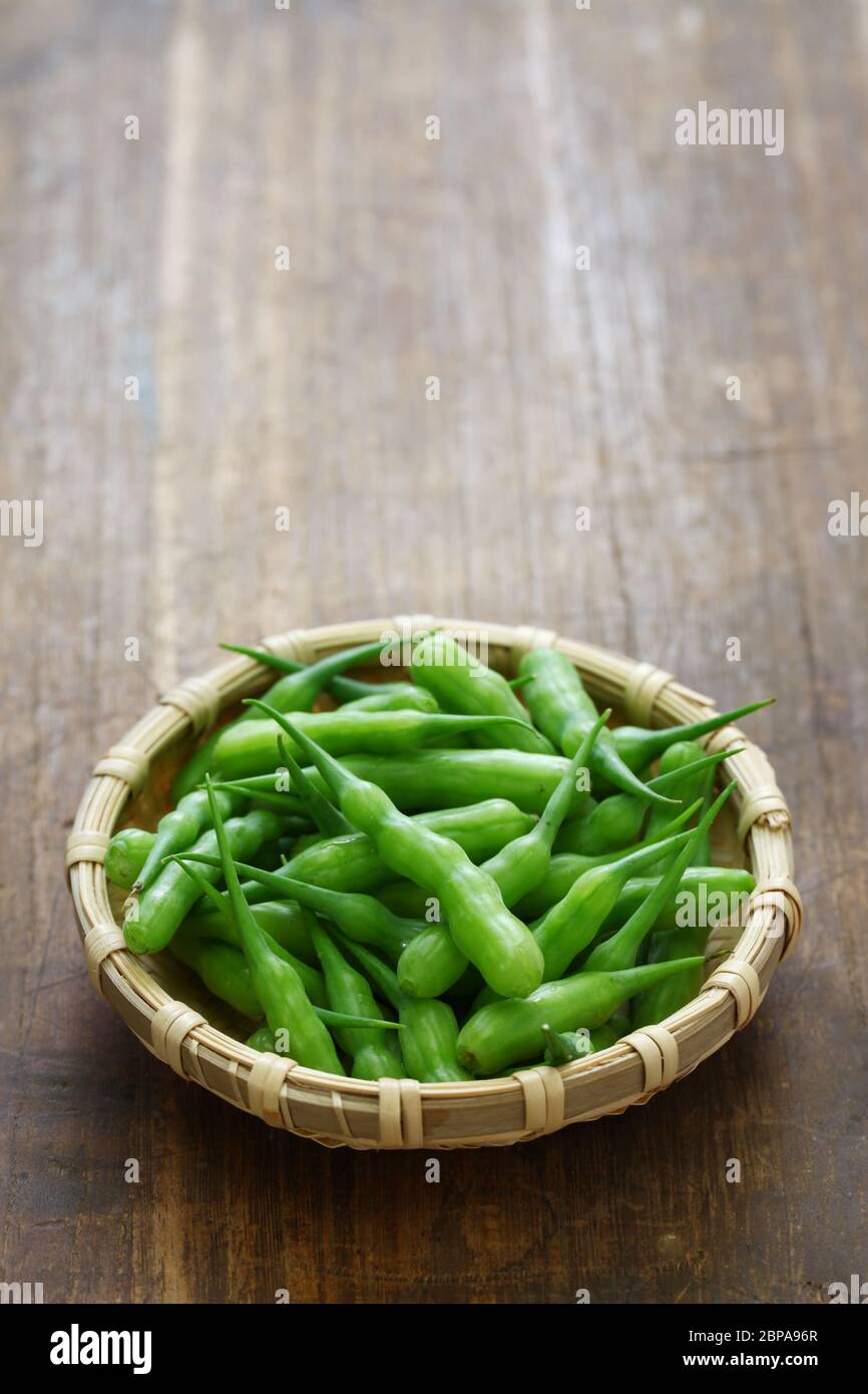 rat tail radish, edible seed pod of radish, indian food Stock Photo Alamy