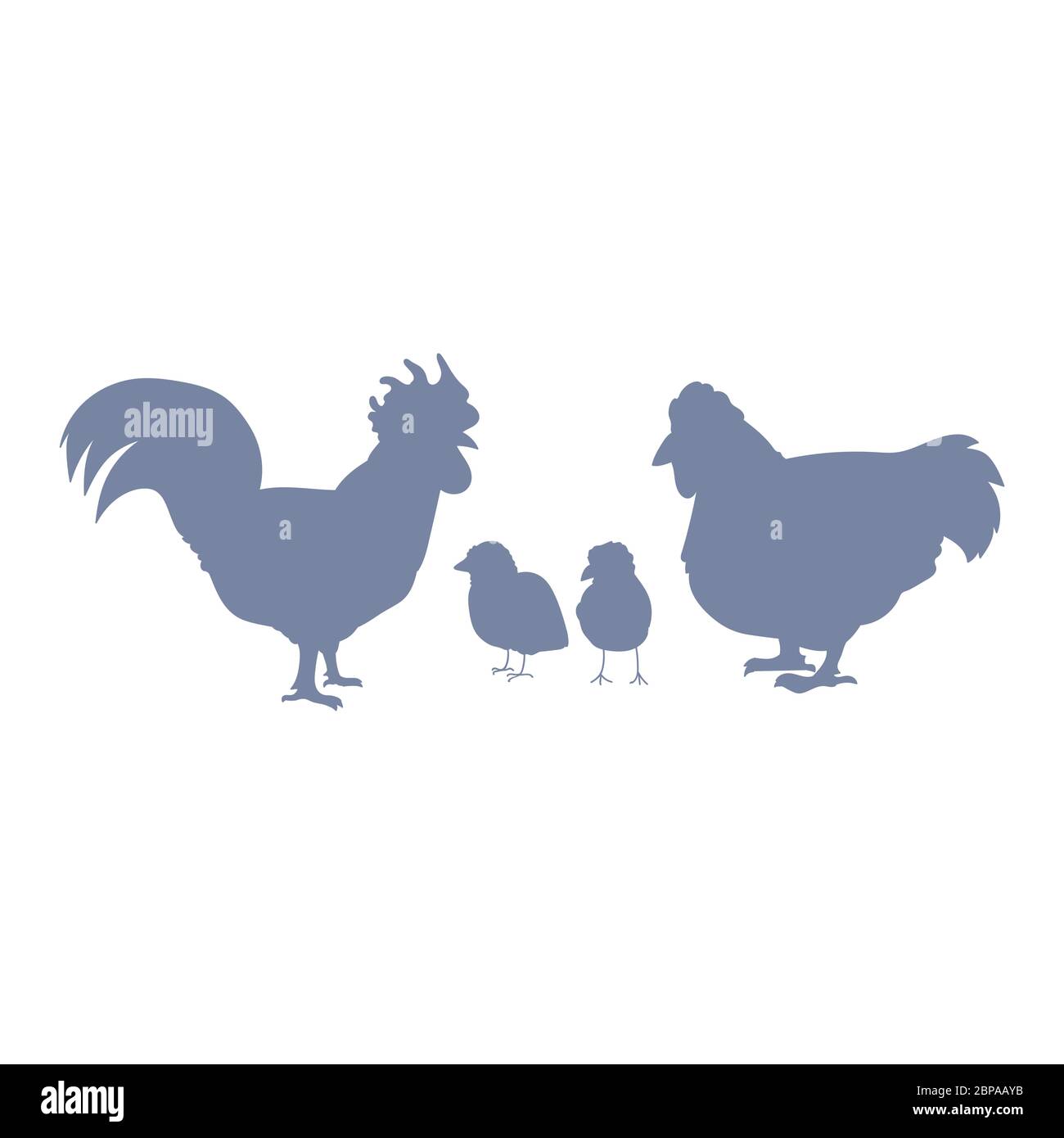 Cute french farmhouse chicken family silhouette vector clipart. Hand drawn rustic style poultry. Chicken country style illustration for farm graphic Stock Vector