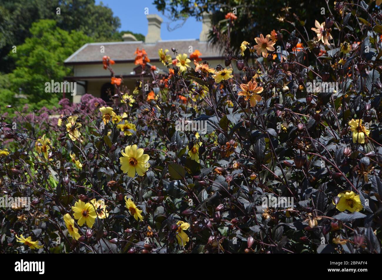 Royal botanic garden melbourne victoria hires stock photography and images Alamy