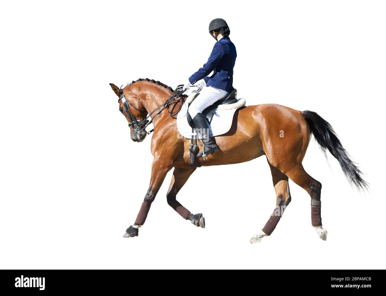 Equestrian sport - dressage rider portrait isolated on white Stock Photo
