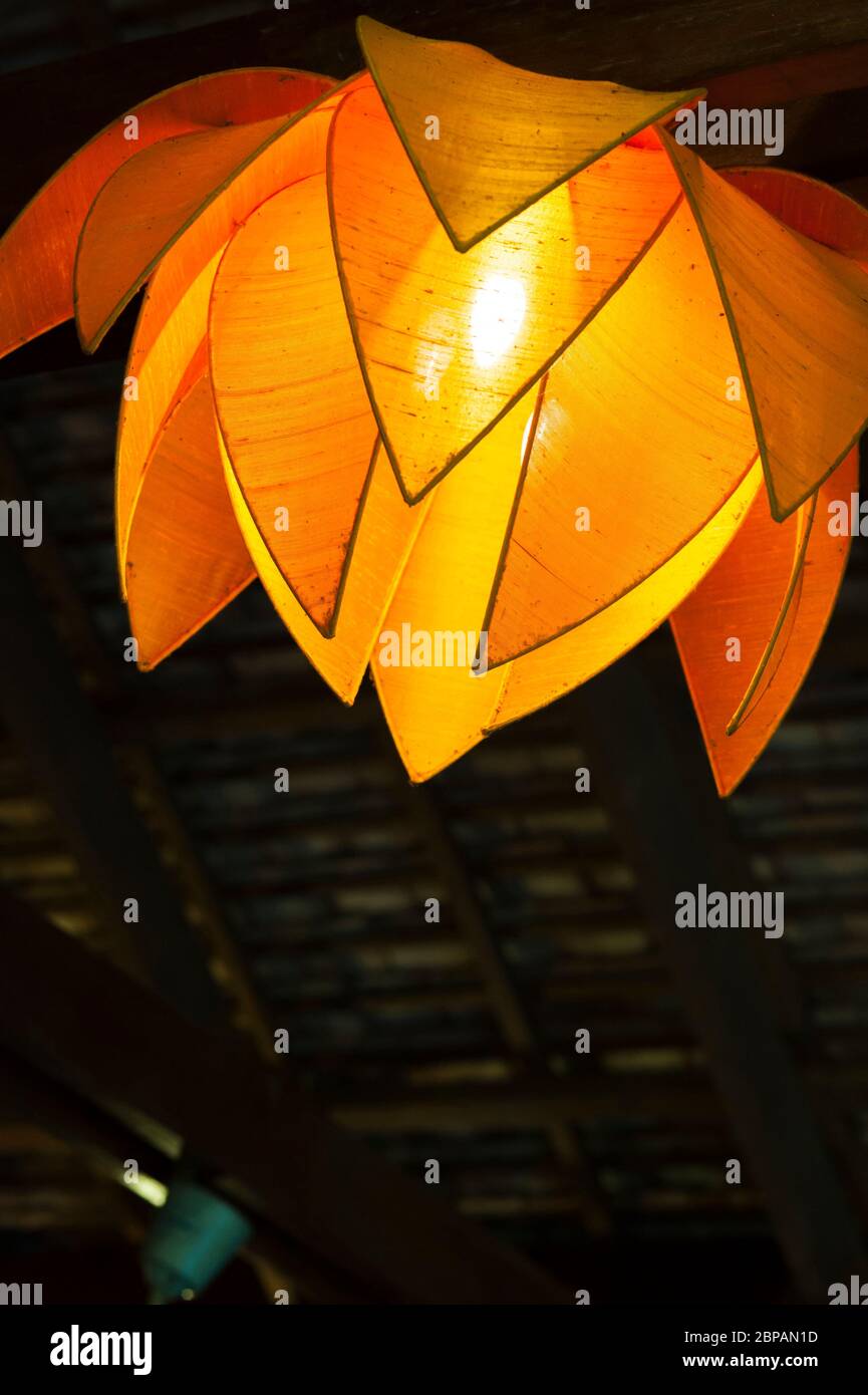 Orange flower lamp Stock Photo Alamy