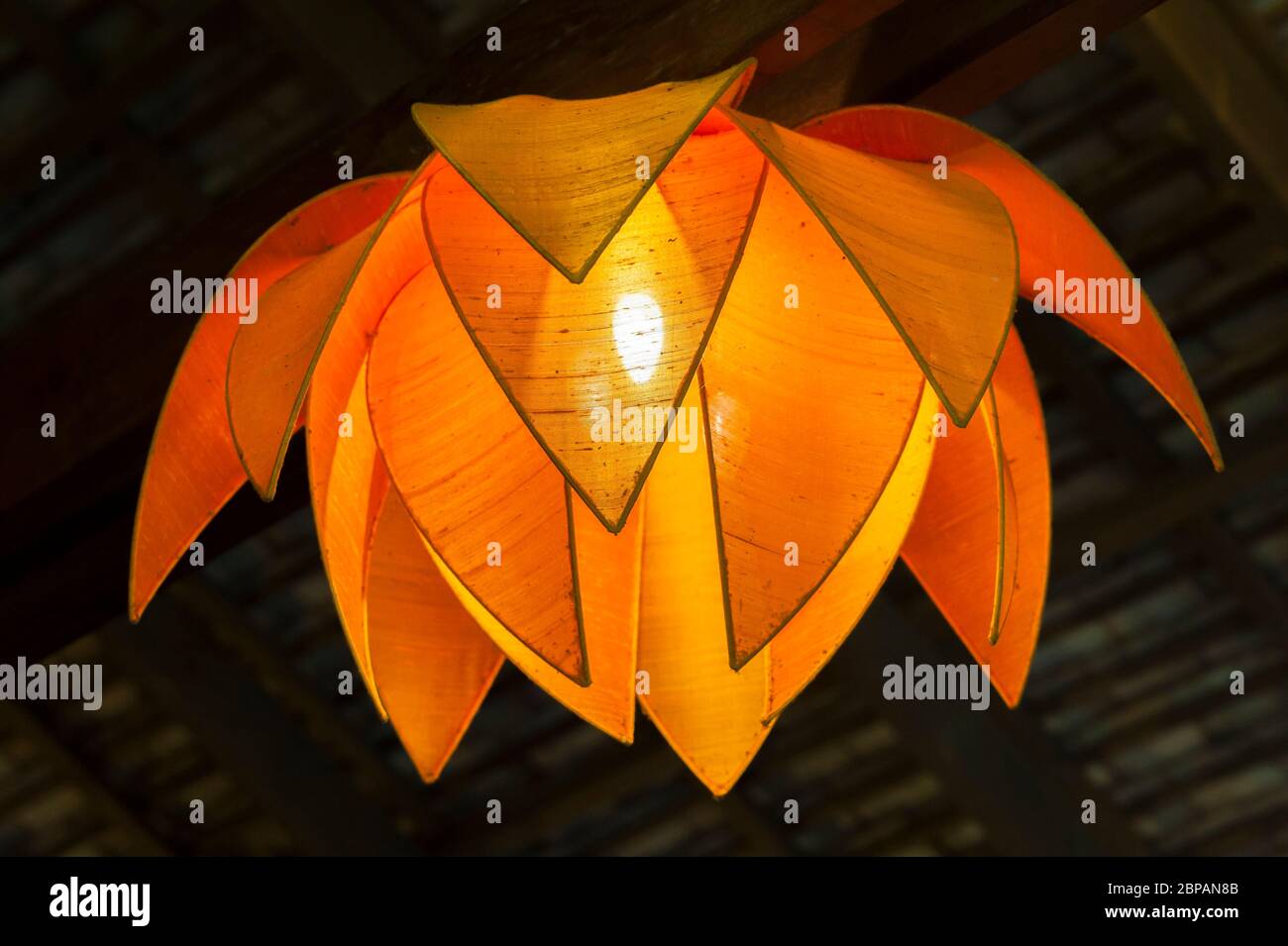 Orange flower lamp Stock Photo Alamy