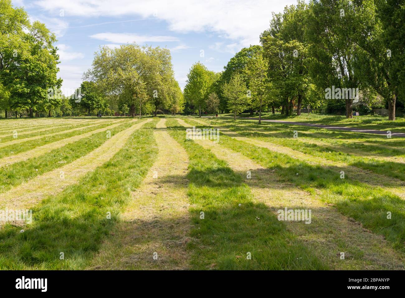 Birmingham City Council has cut the grass in two metre strips in public spaces to encourage social distancing during the covid 19 pandemic Stock Photo