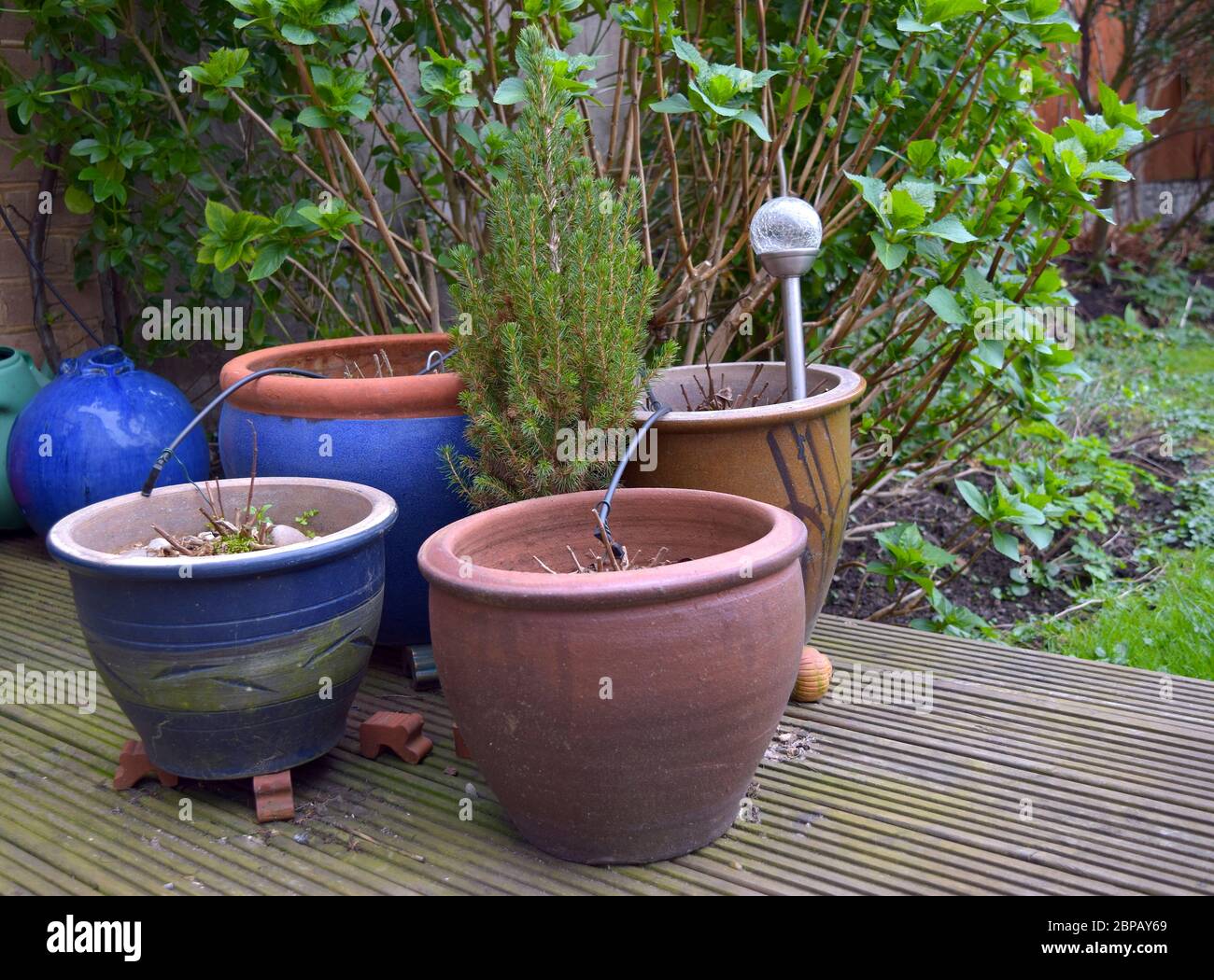 Irrigation system pipes in the plant clay pots in the garden Stock