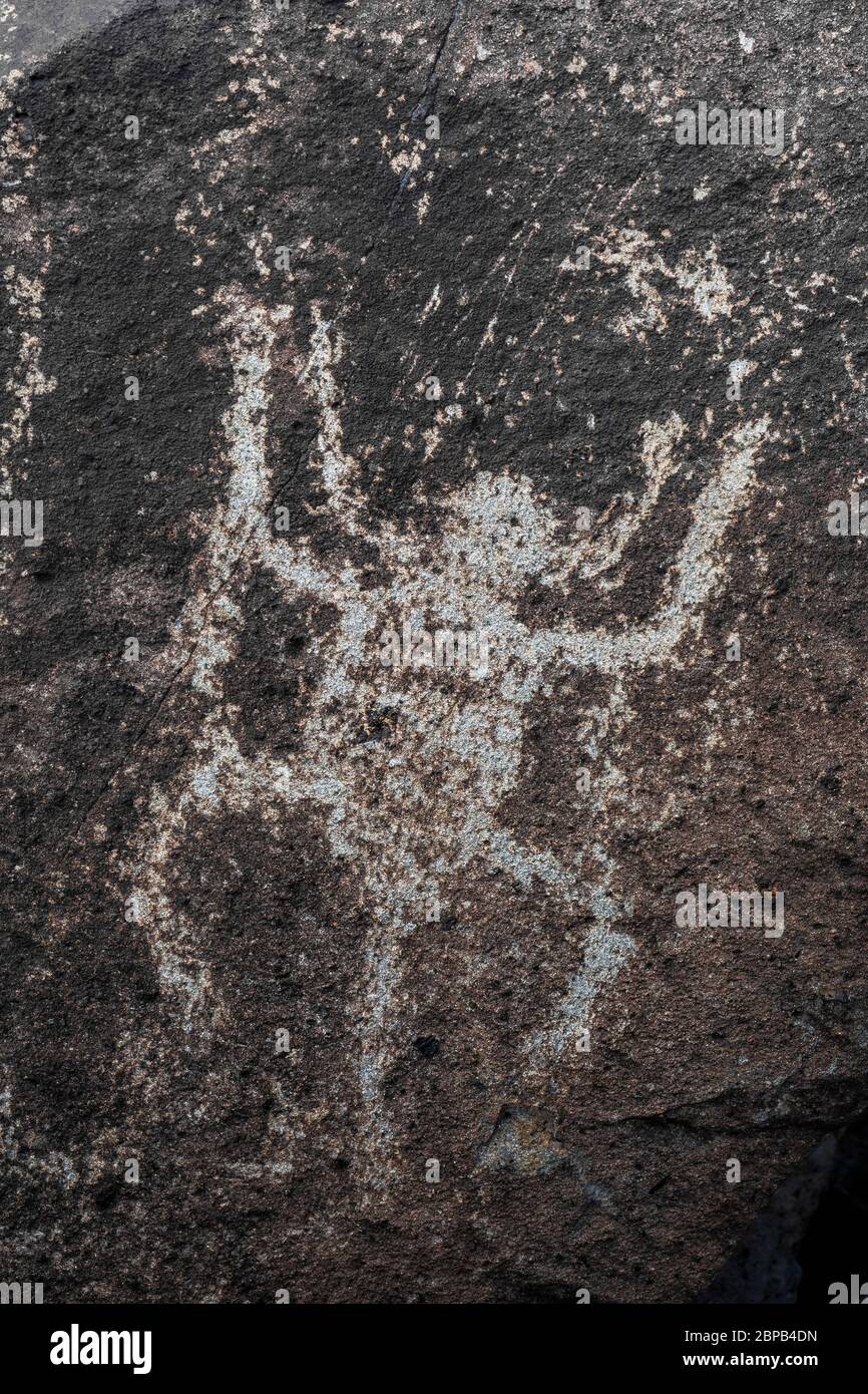 Rock art with wildlife theme created long ago by Jornada Mogollon people at Three Rivers Petroglyph Site in the northern Chihuahuan Desert, New Mexico Stock Photo