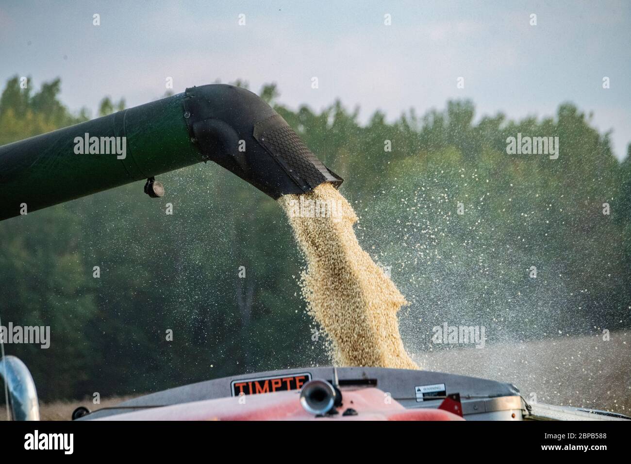 Renfroe Farms uses a GPS directed harvester to unload the corn crop at the family farm September 18, 2019 in Carroll County, Tennessee. The farm utilizes conservation practices developed with the USDA to balance land stewardship and production. Stock Photo