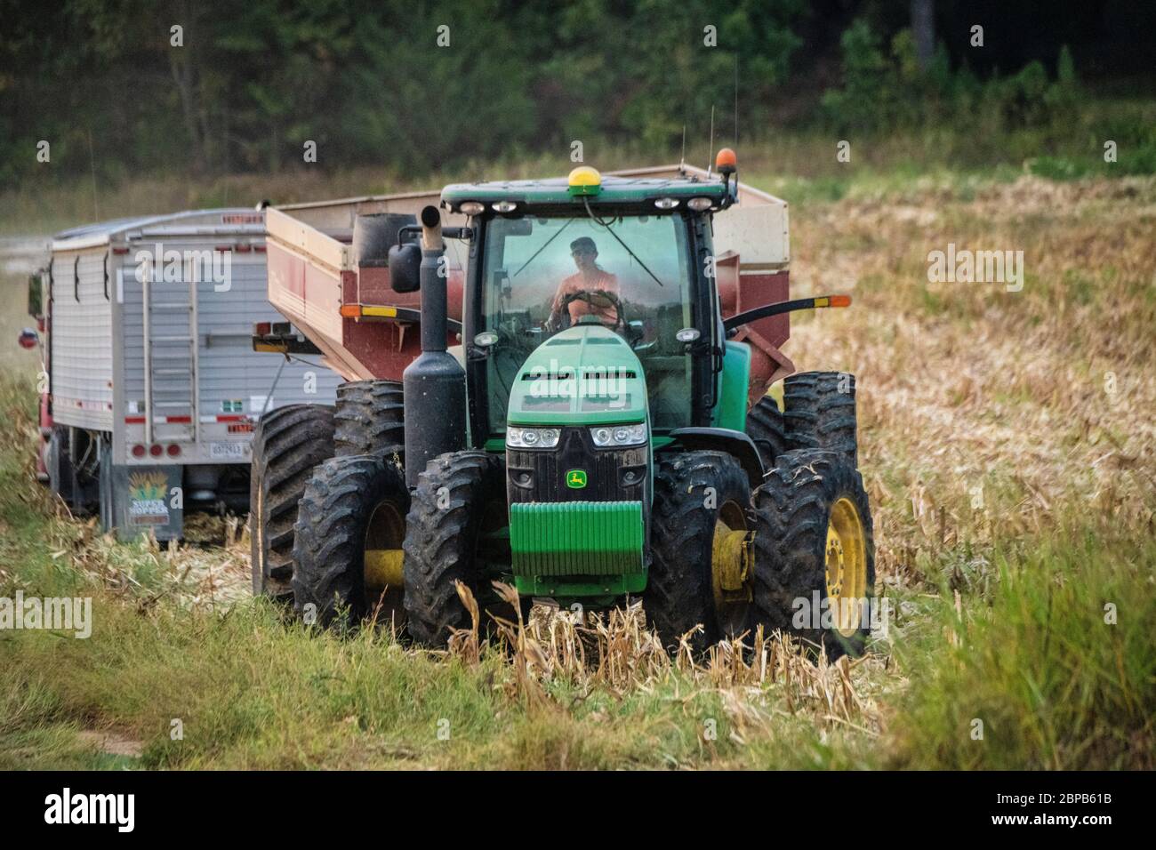 Kim Renfroe-Johnson ween operating a tractor during corn harvest at her family farm September 18, 2019 in Carroll County, Tennessee. The farm utilizes conservation practices developed with the USDA to balance land stewardship and production. Stock Photo