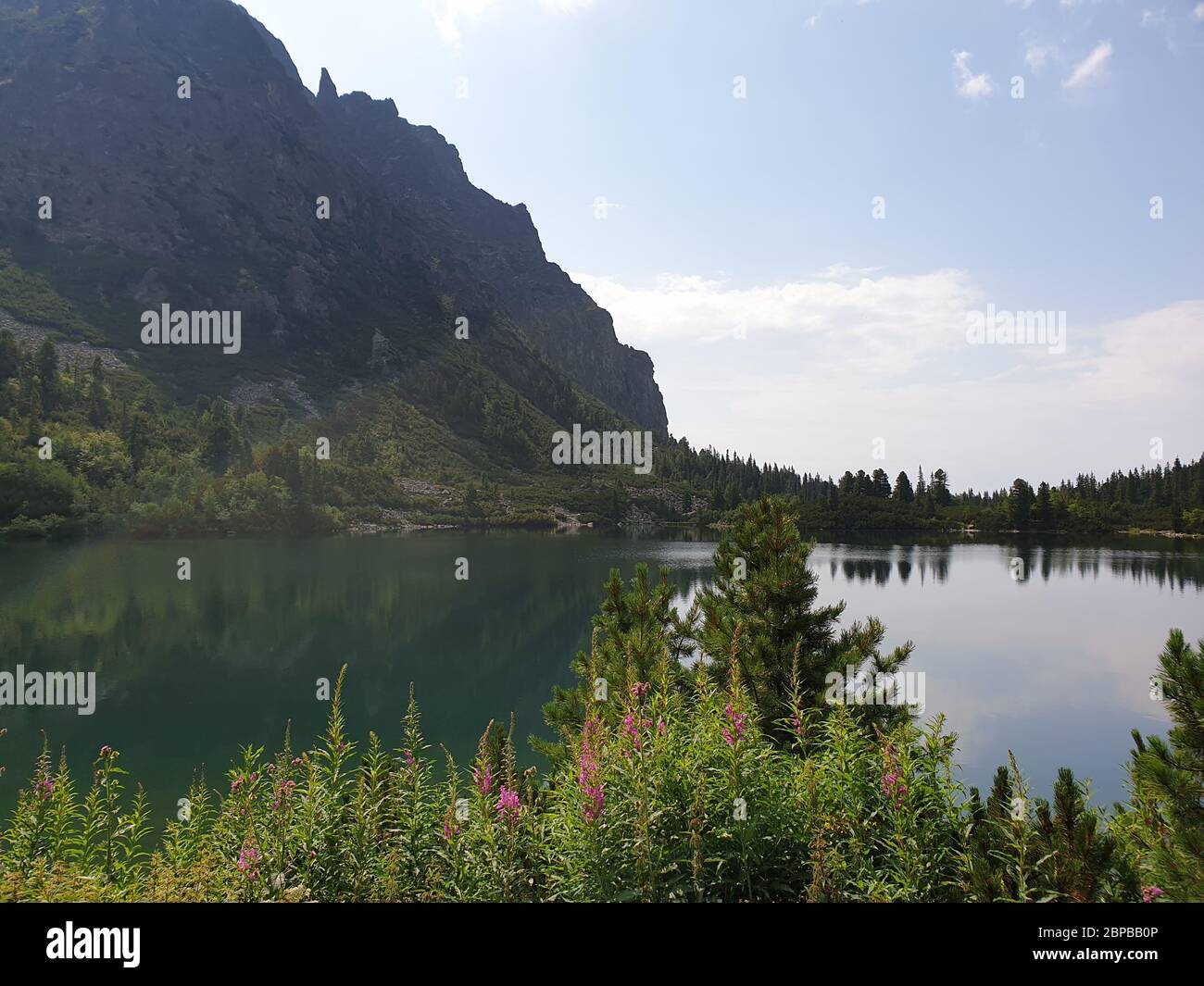 Beautiful mountain lake pine hi-res stock photography and images - Alamy