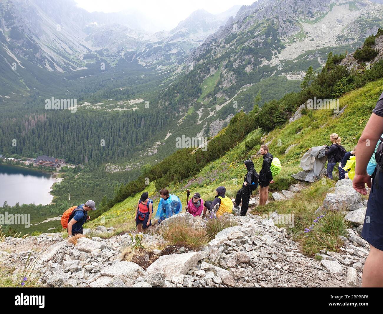 Group of people hiking in mountains Stock Photo - Alamy