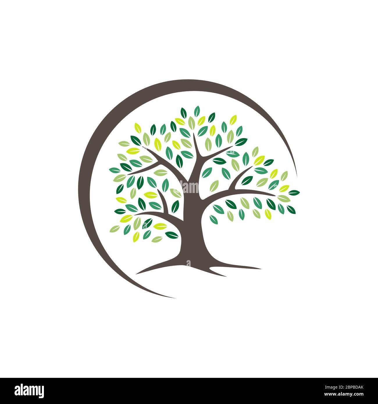 Oak Tree Logo Template Illustration Design. Vector EPS 10 Stock Photo ...