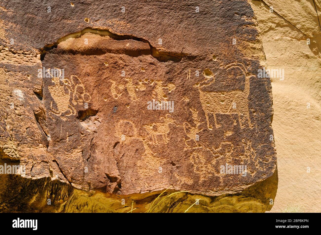 Exploring the southwest you will find many rocks filled with petroglyphs from ancient prehistoric  people. This rock was in nine mile canyon in Utah. Stock Photo