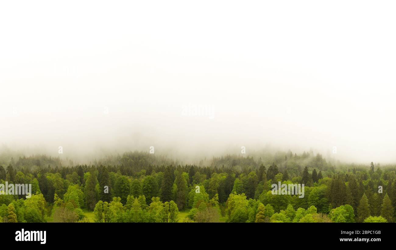 Natural elements hi-res stock photography and images - Alamy