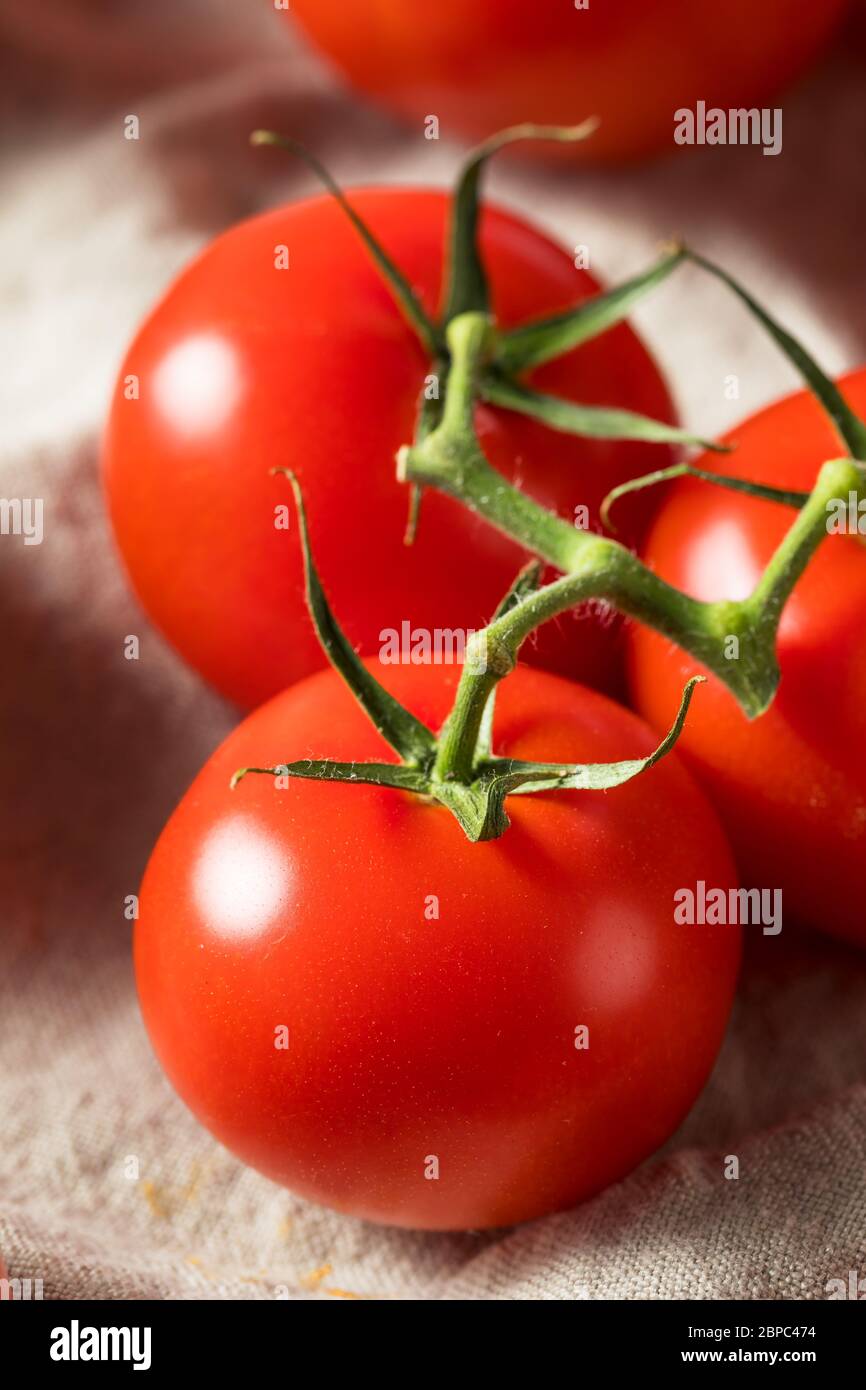 Raw Organic Vine Ripe Red Tomatoes in a Bunch Stock Photo - Alamy
