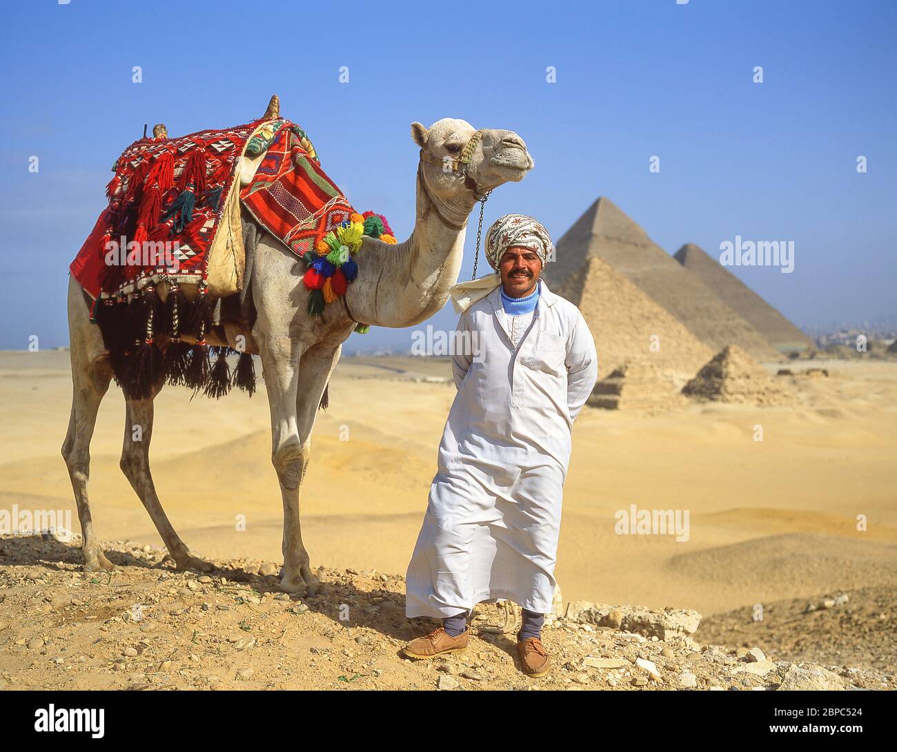 Camel driver with decorated camels, The Great Pyramids of Giza, Giza, Giza Governate, Republic of Egypt Stock Photo