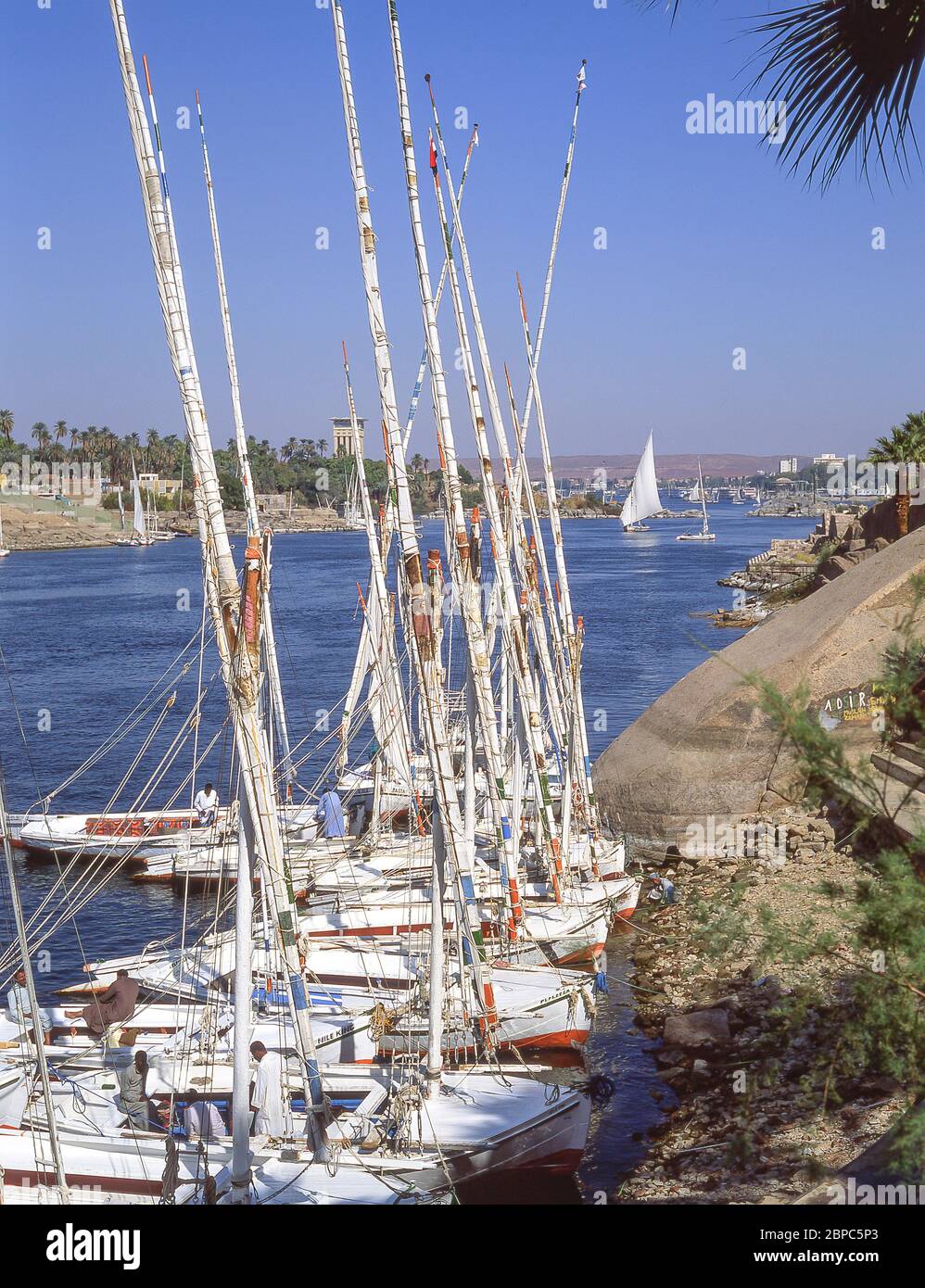 Feluccas on West Bank of River Nile at Aswan, Aswan Governorate, Republic of Egypt Stock Photo
