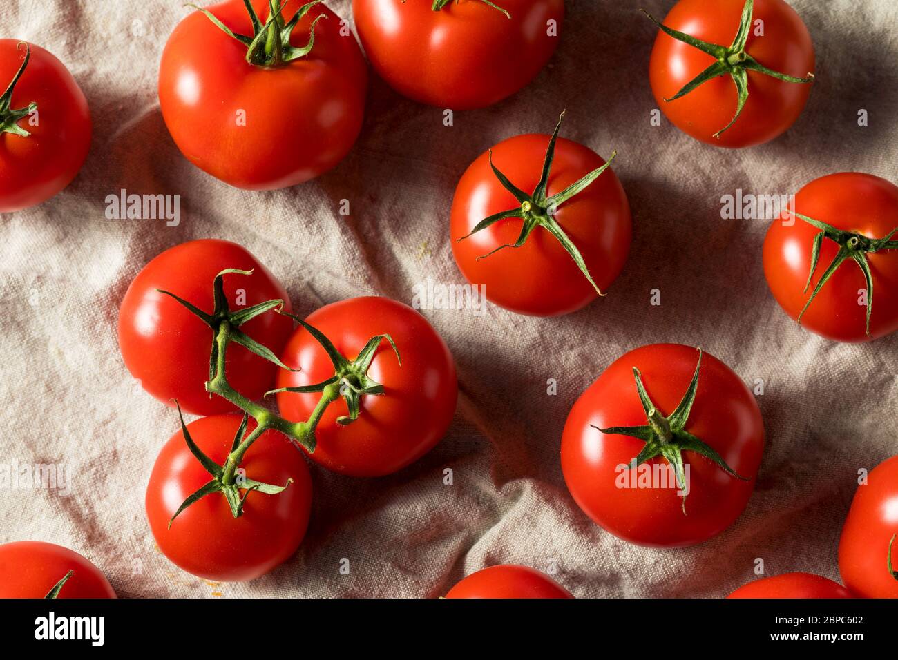 Raw Organic Vine Ripe Red Tomatoes in a Bunch Stock Photo - Alamy
