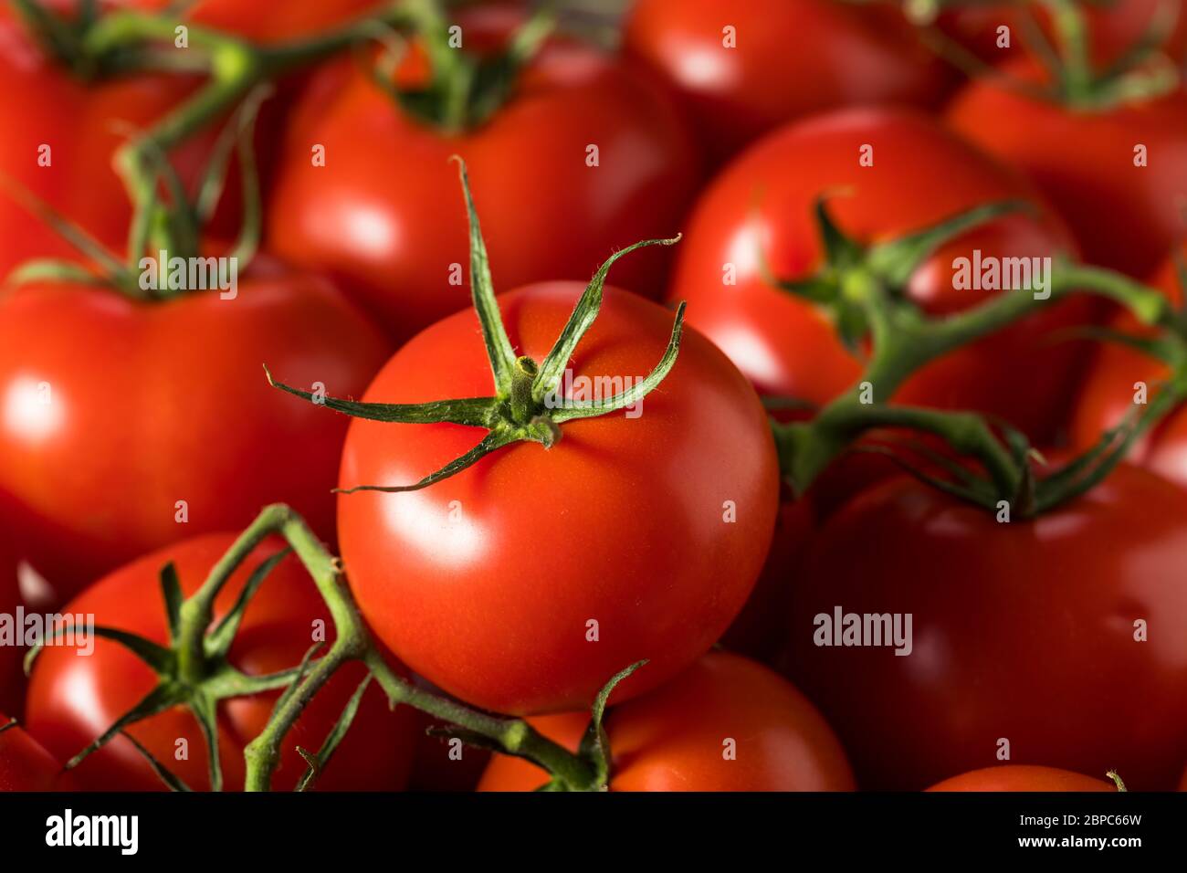 Raw Organic Vine Ripe Red Tomatoes in a Bunch Stock Photo - Alamy