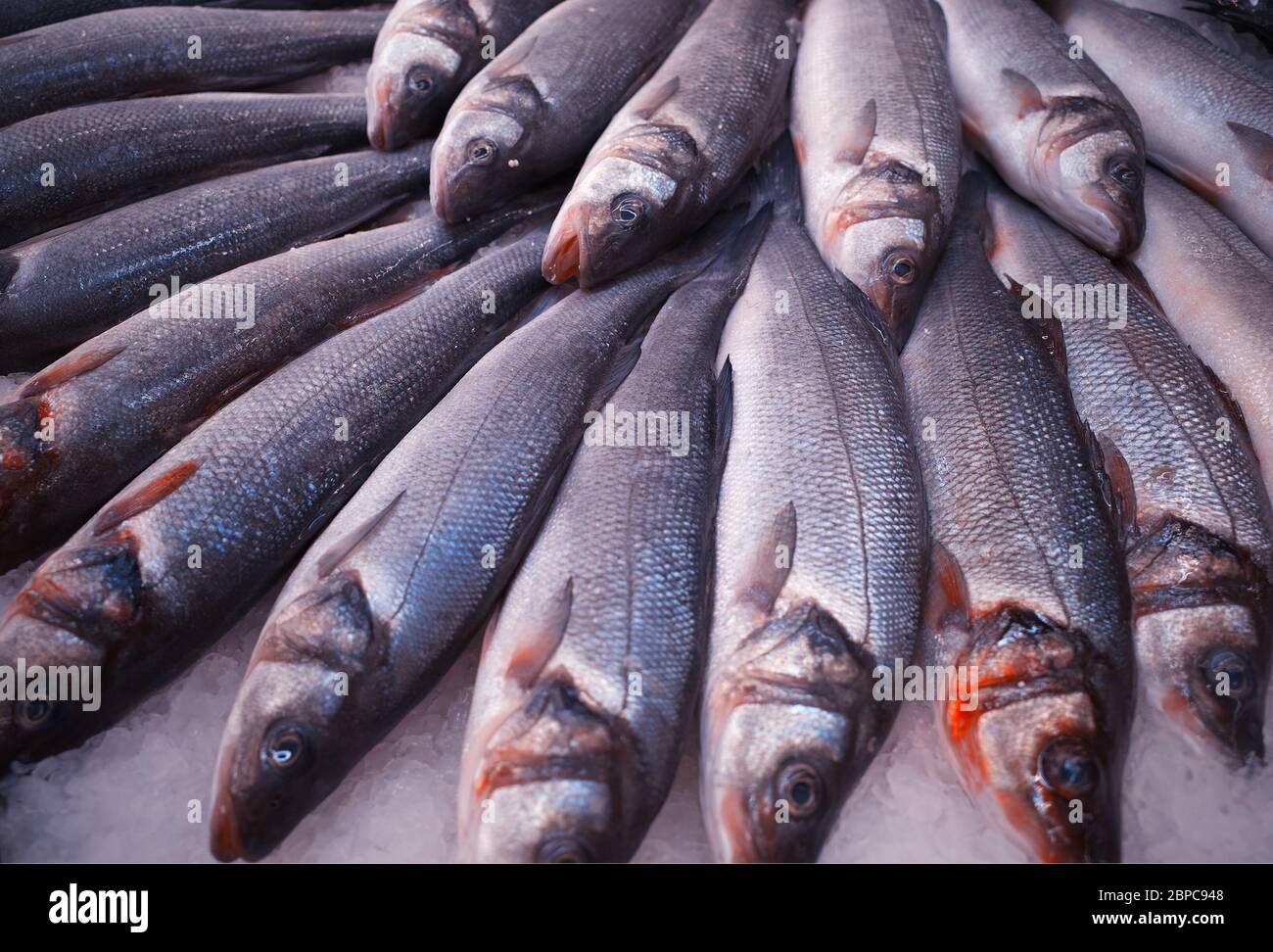 Fresh fish at supermarket texture background Stock Photo - Alamy