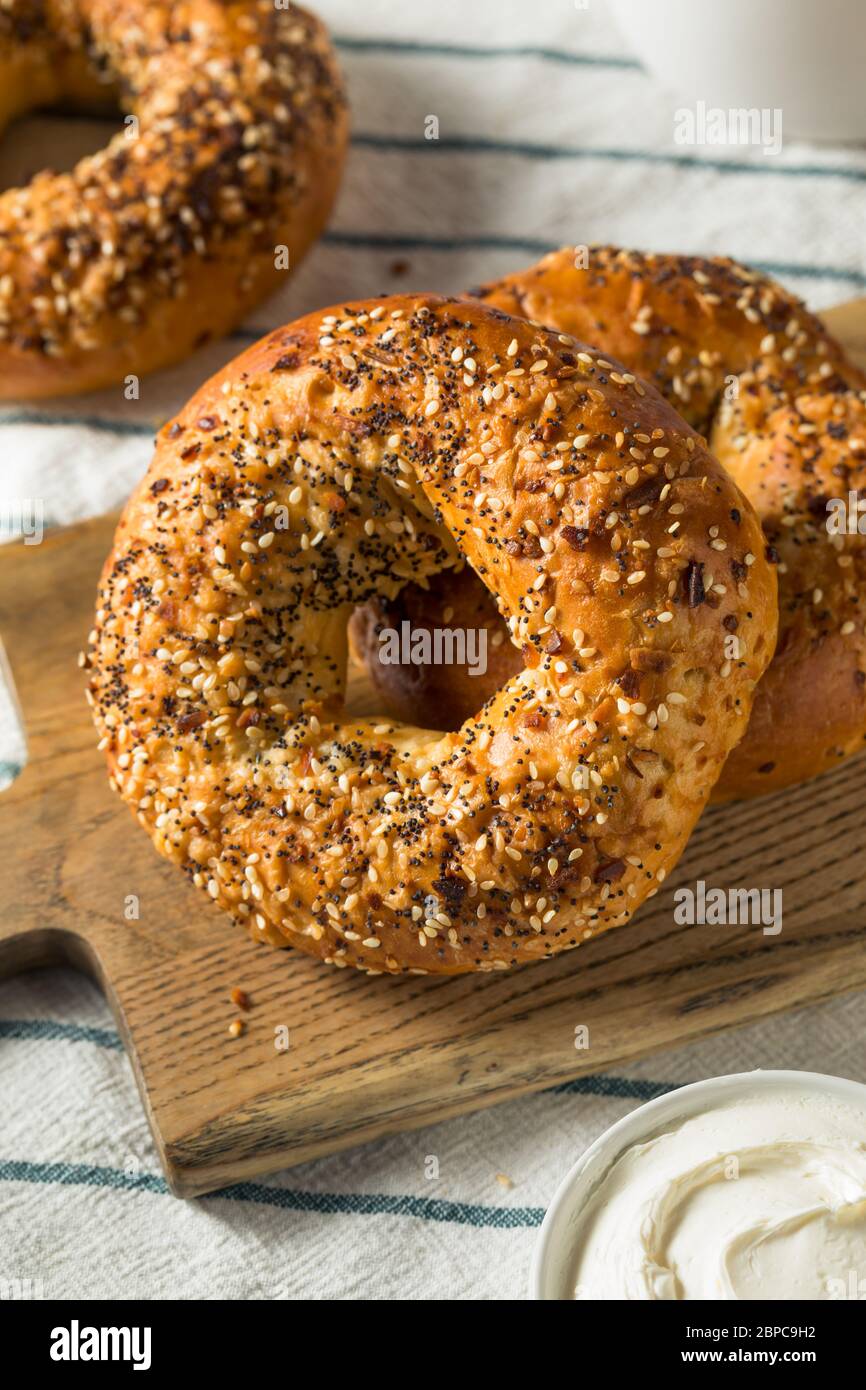 Homemade Toasted Everything New York Bagel with Cream Cheese Stock