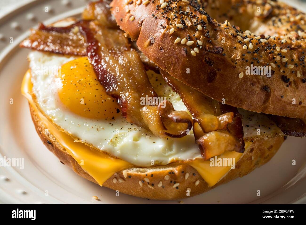 Homemade Fried Egg Bagel Sandwich with Cheese and Bacon Stock Photo Alamy