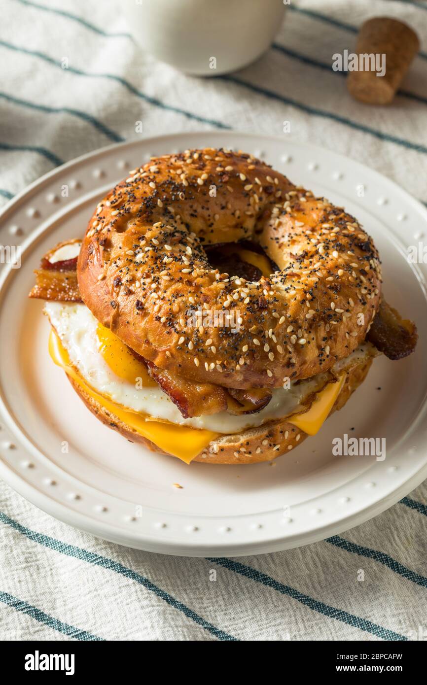 Homemade Fried Egg Bagel Sandwich with Cheese and Bacon Stock Photo Alamy