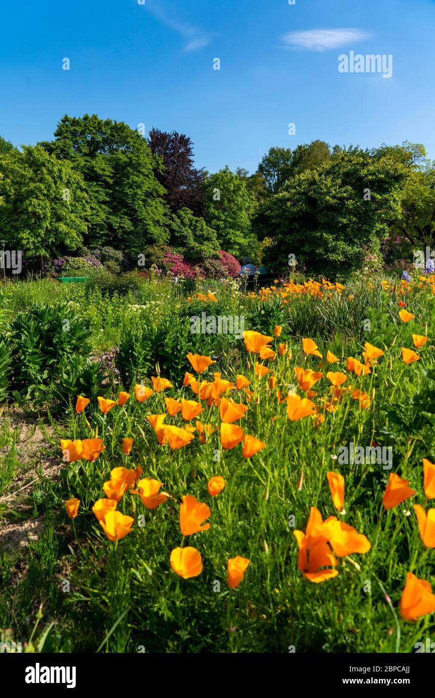The Grugapark, the herbaceous slope, in Essen, NRW, Germany Stock Photo