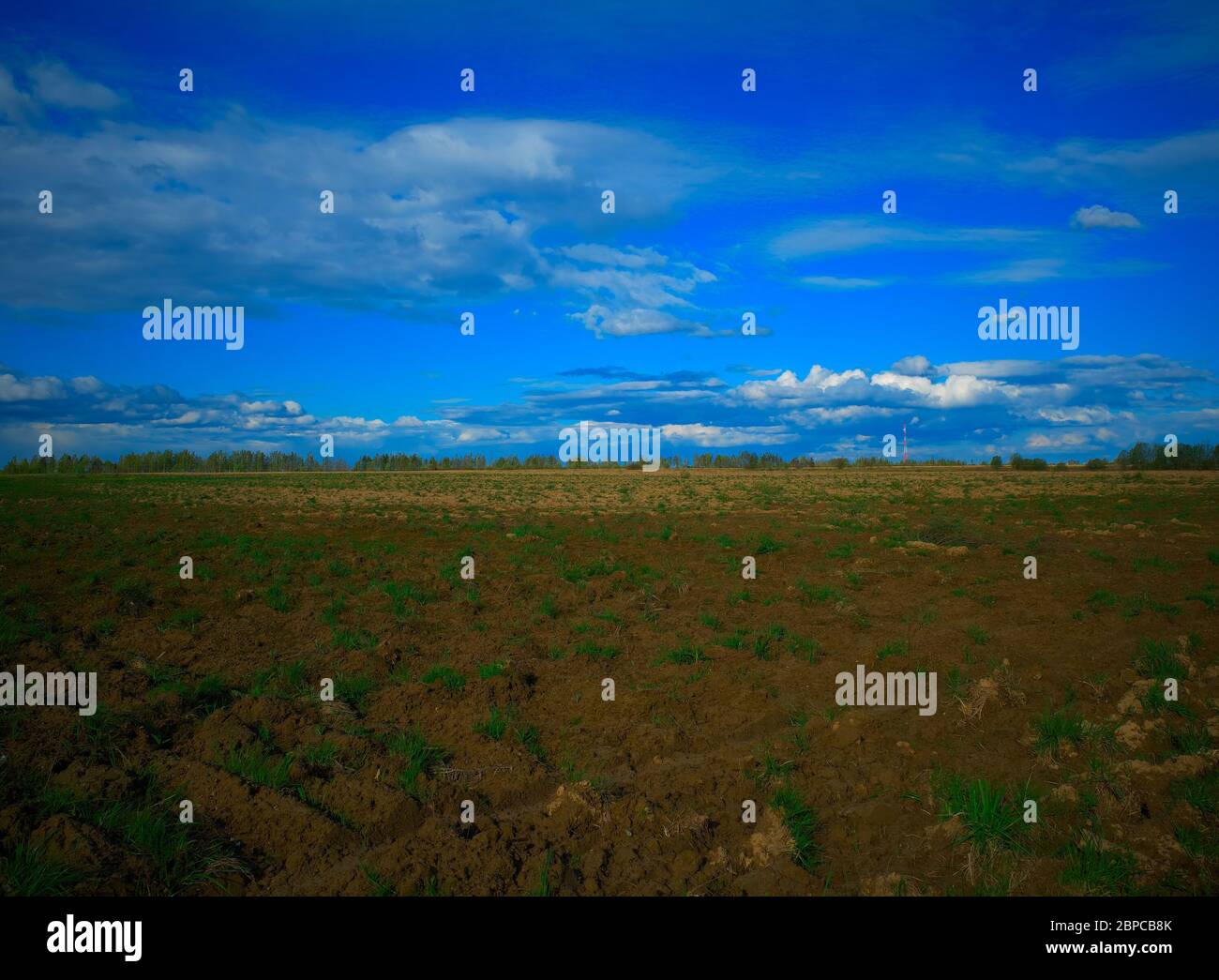 Summer empty tillage field background Stock Photo - Alamy