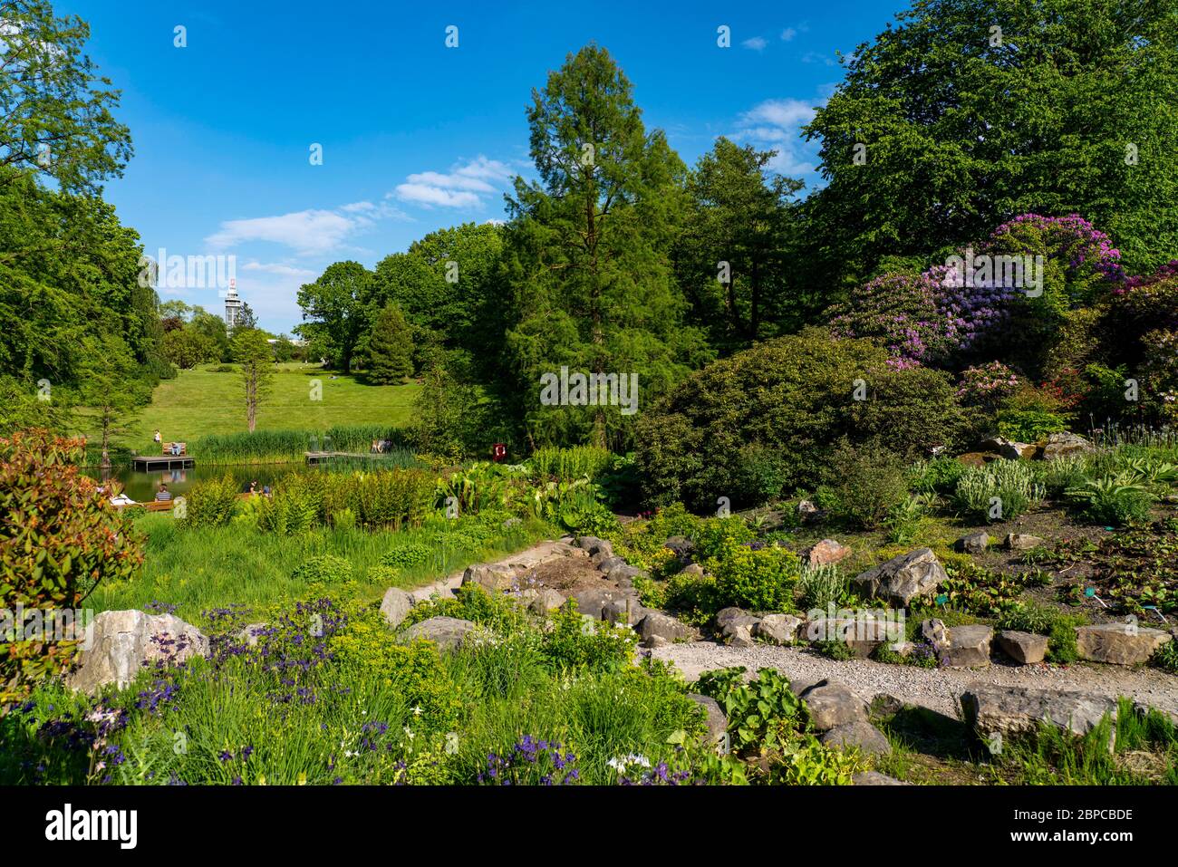 The Grugapark, the Alpinum, view of the Grugaturm, in Essen, NRW, Germany Stock Photo