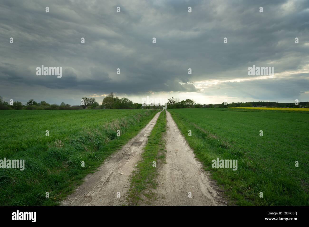 Dark country road hi-res stock photography and images - Alamy