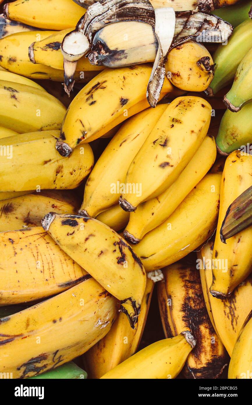 Clusters of ripe yellow bananas photographed on a fruit market