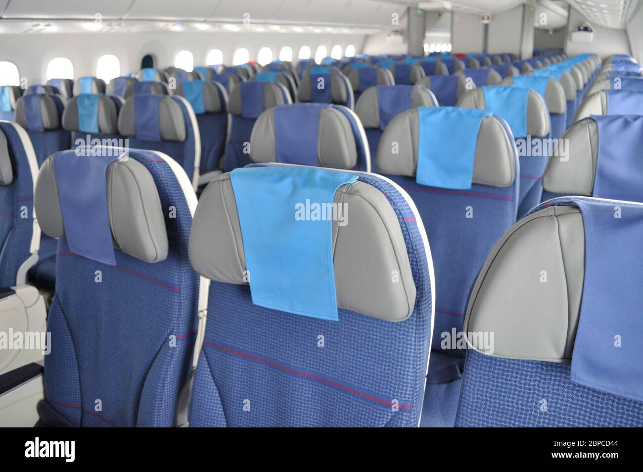 Empty, economy class seats at an airliner. Stock Photo