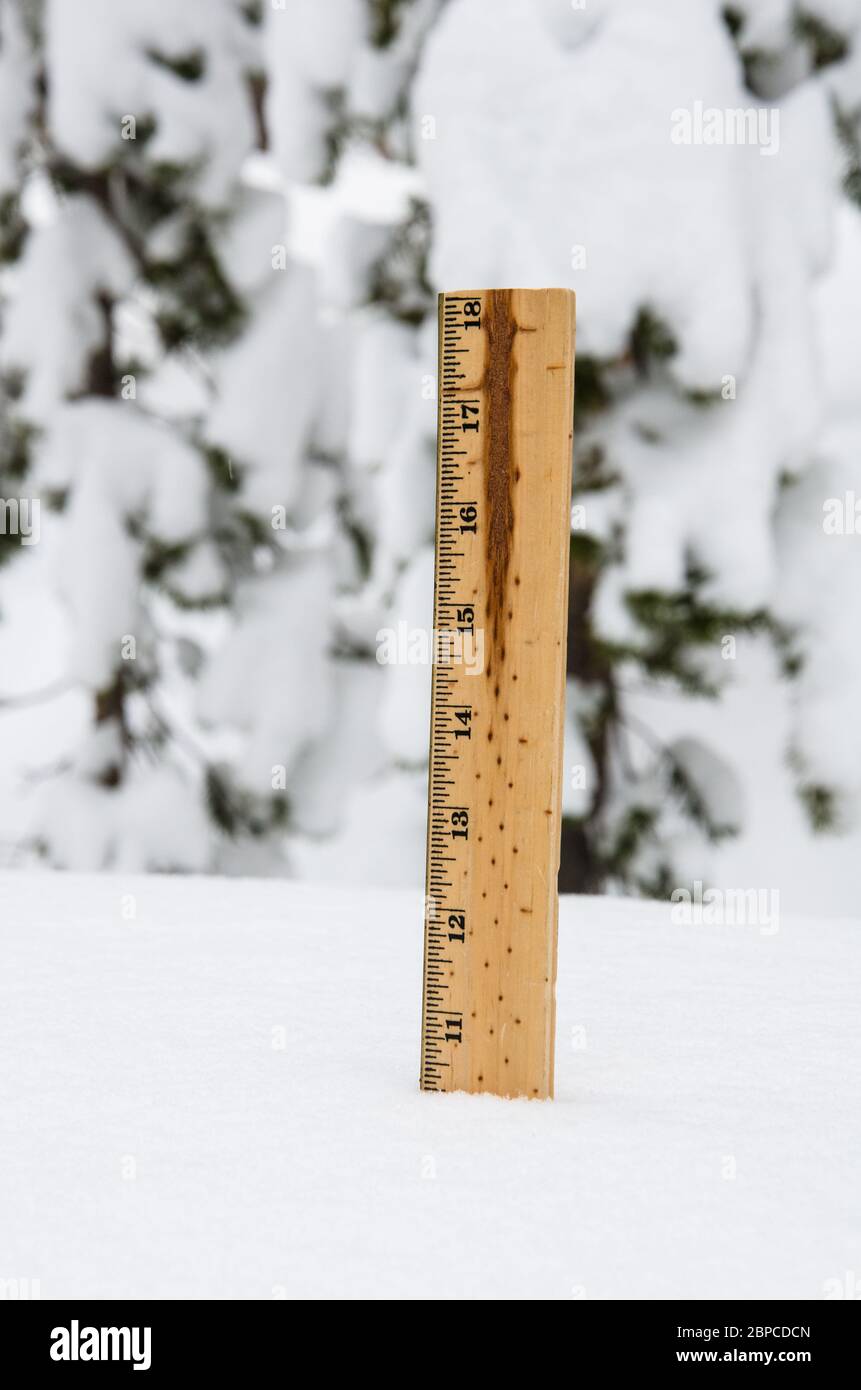 An American ruler sticking out of the snow measuring 10.25' on May 18th, 2017 in Yellowstone National Park, USA Stock Photo