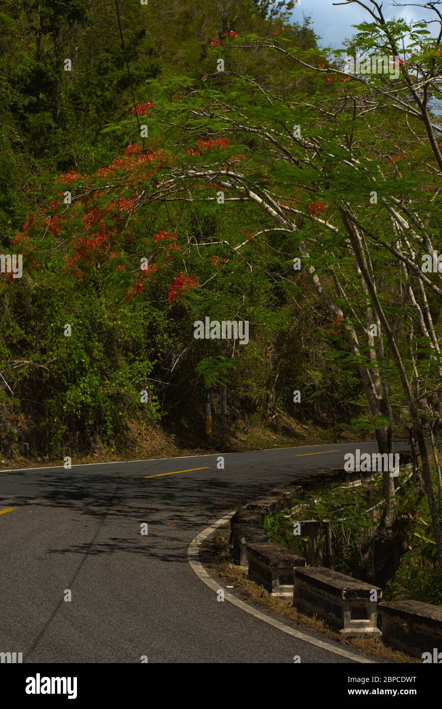 Highway In Puerto Rico What Is A Scenic Drive In Puerto Rico? – YQAIFK