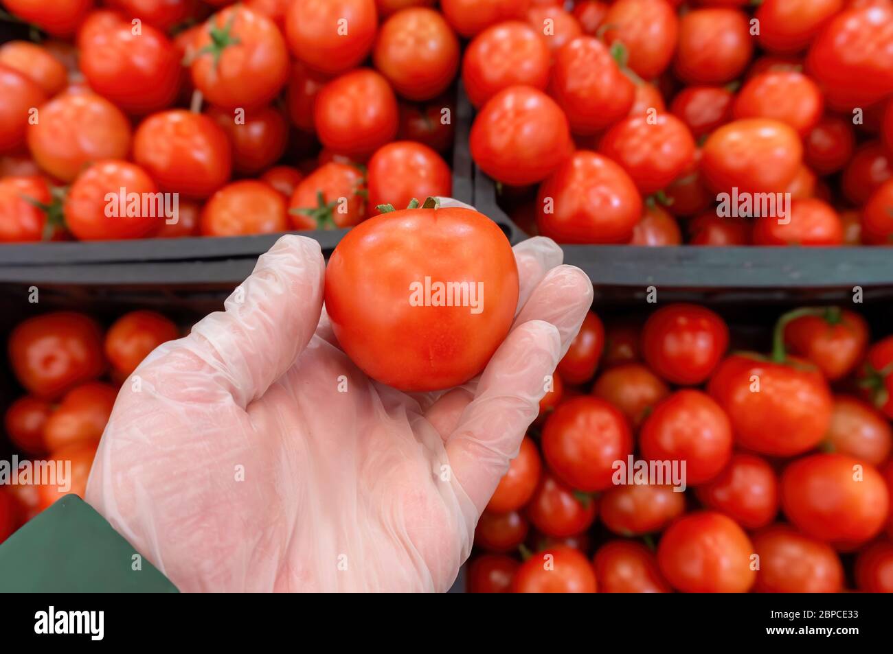 while shopping at market buyer holding red tomato in the store in protective gloves because of hygienic safety and protection against coronavirus or o Stock Photo