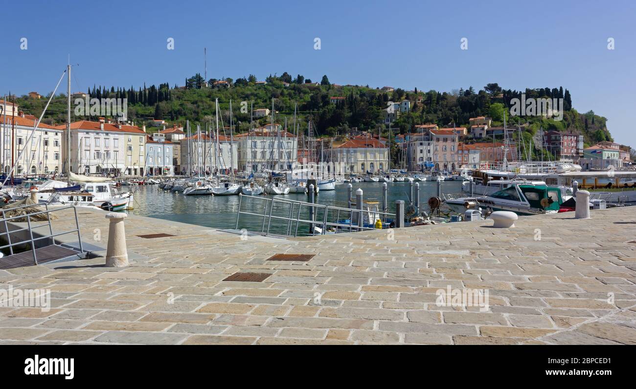 PIRAN, Slovenia - April 25, 2013: The seafront and the marina in the small charming historic district Stock Photo