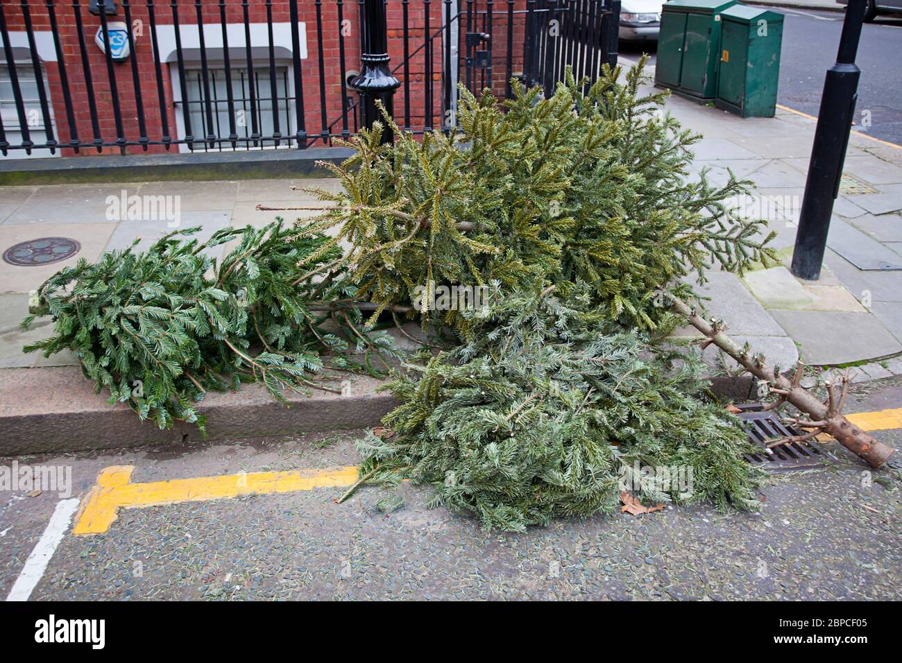 Disposal after christmas hires stock photography and images Alamy
