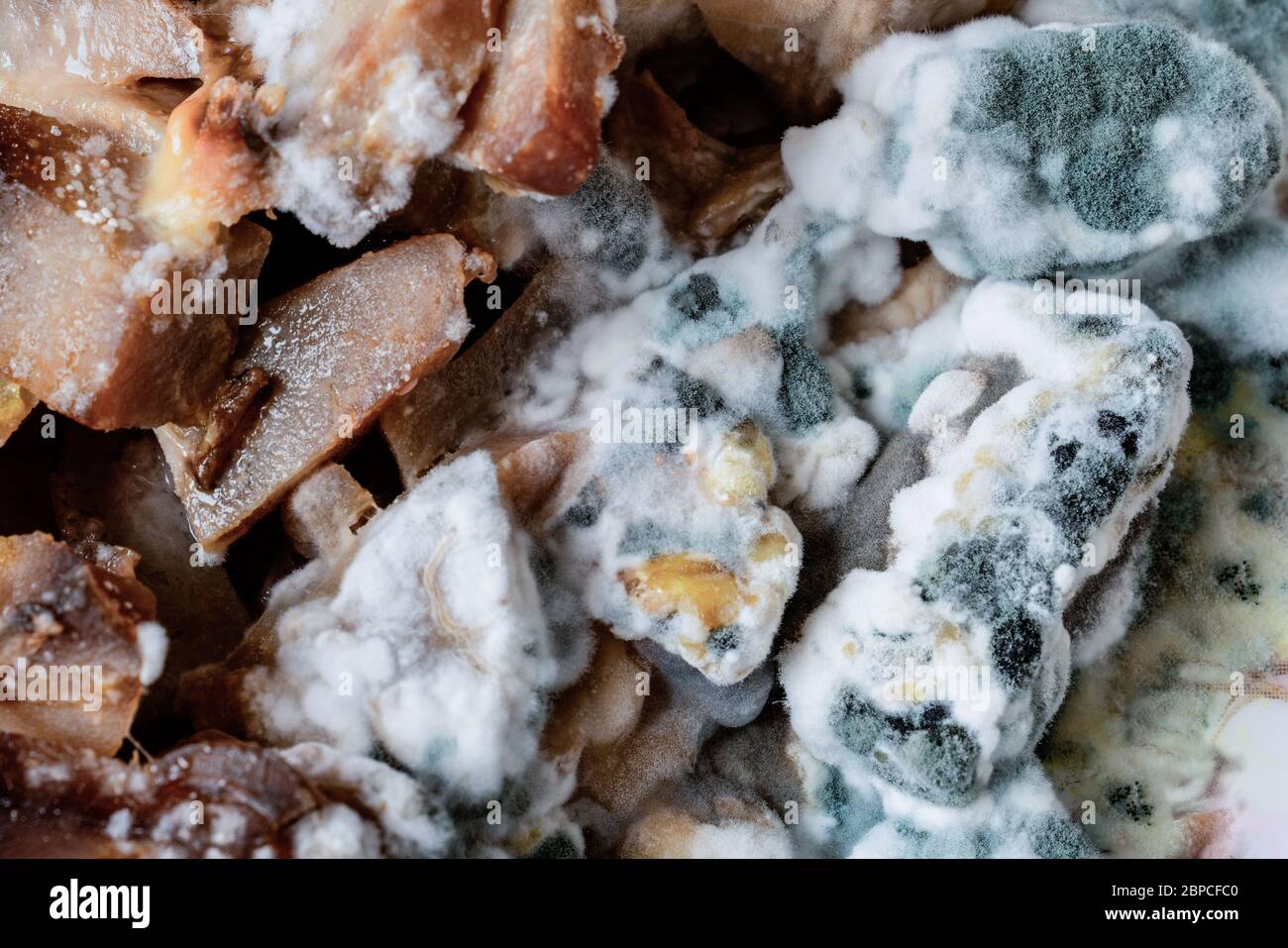 Moldy potato salad in a plate Stock Photo