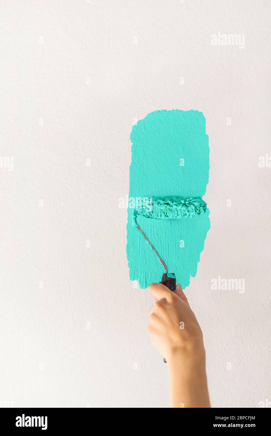 Human hand with a small roller of paint begins to paint a white wall handicraft master craftsman training contrast color sample color test turquoise l Stock Photo