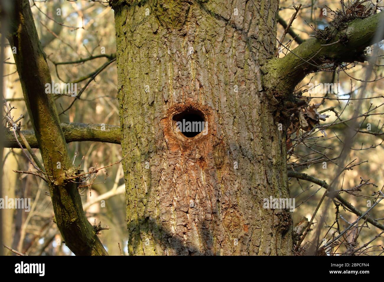 Welcome home love hi-res stock photography and images - Alamy