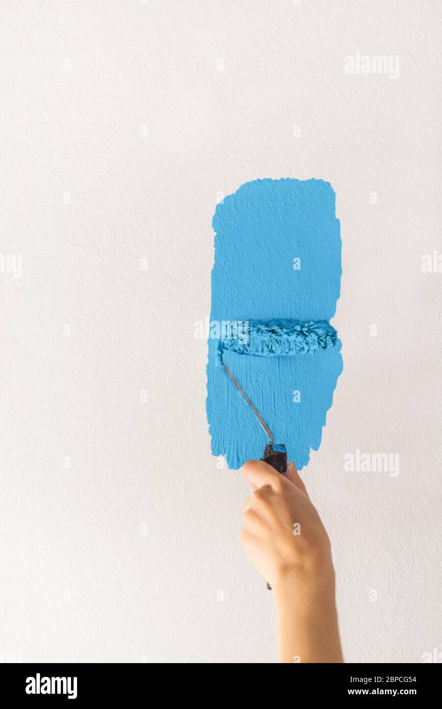 Human hand with a small roller of paint begins to paint a white wall handicraft master craftsman training contrast color sample color test light blue Stock Photo