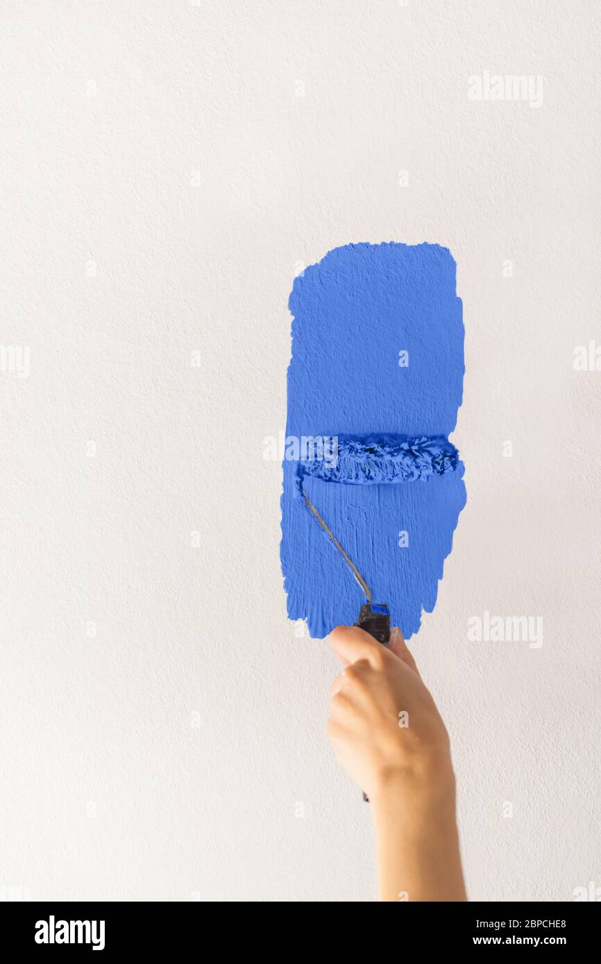 Human hand with a small roller of paint begins to paint a white wall handicraft master craftsman training contrast color sample color test light blue Stock Photo