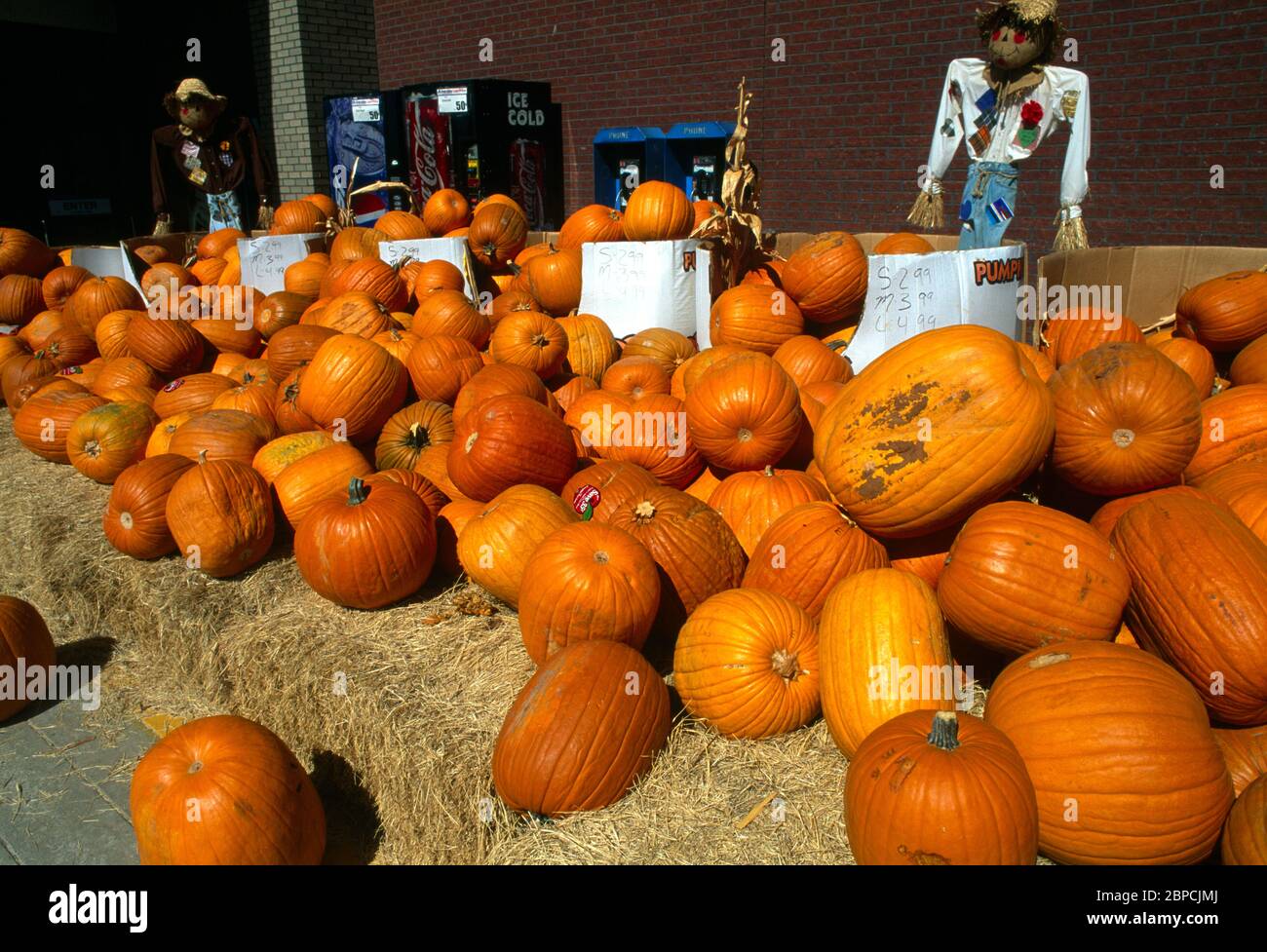 Carrollton Texas USA Pumpkins outside Supermarket Near Halloween Stock