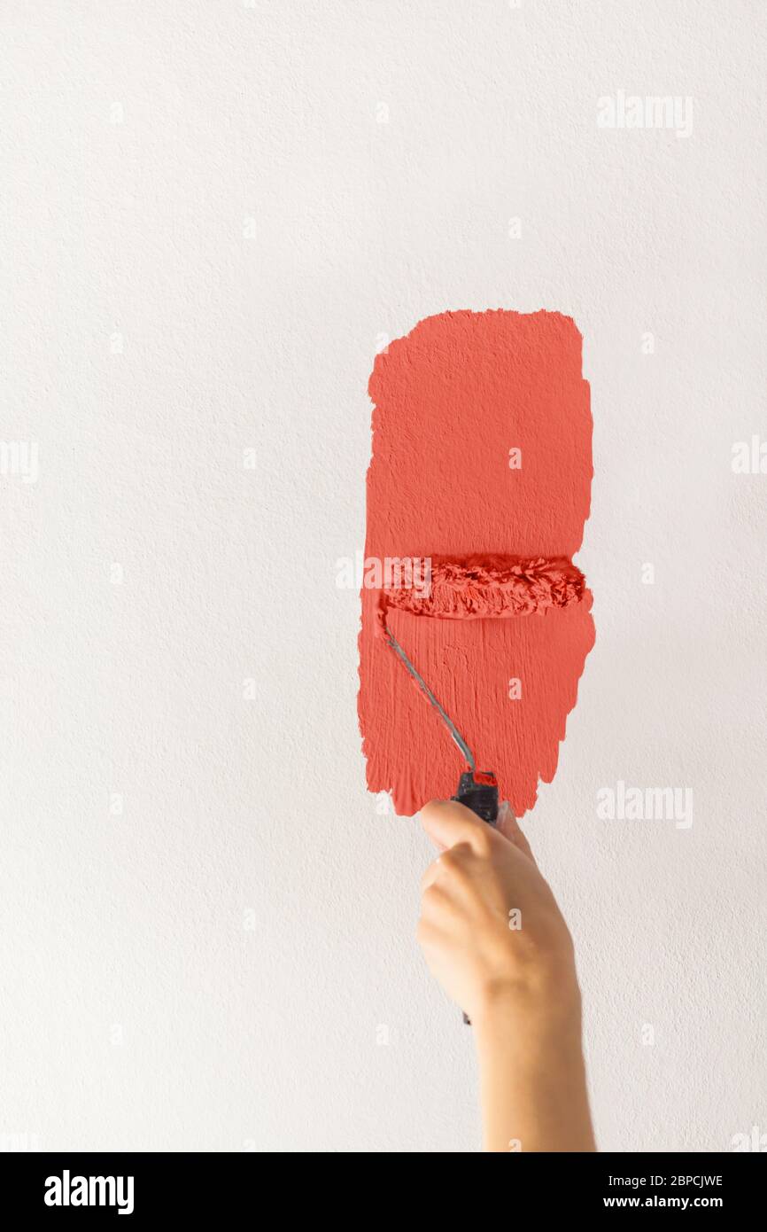 Human hand with a small roller of paint begins to paint a white wall ...