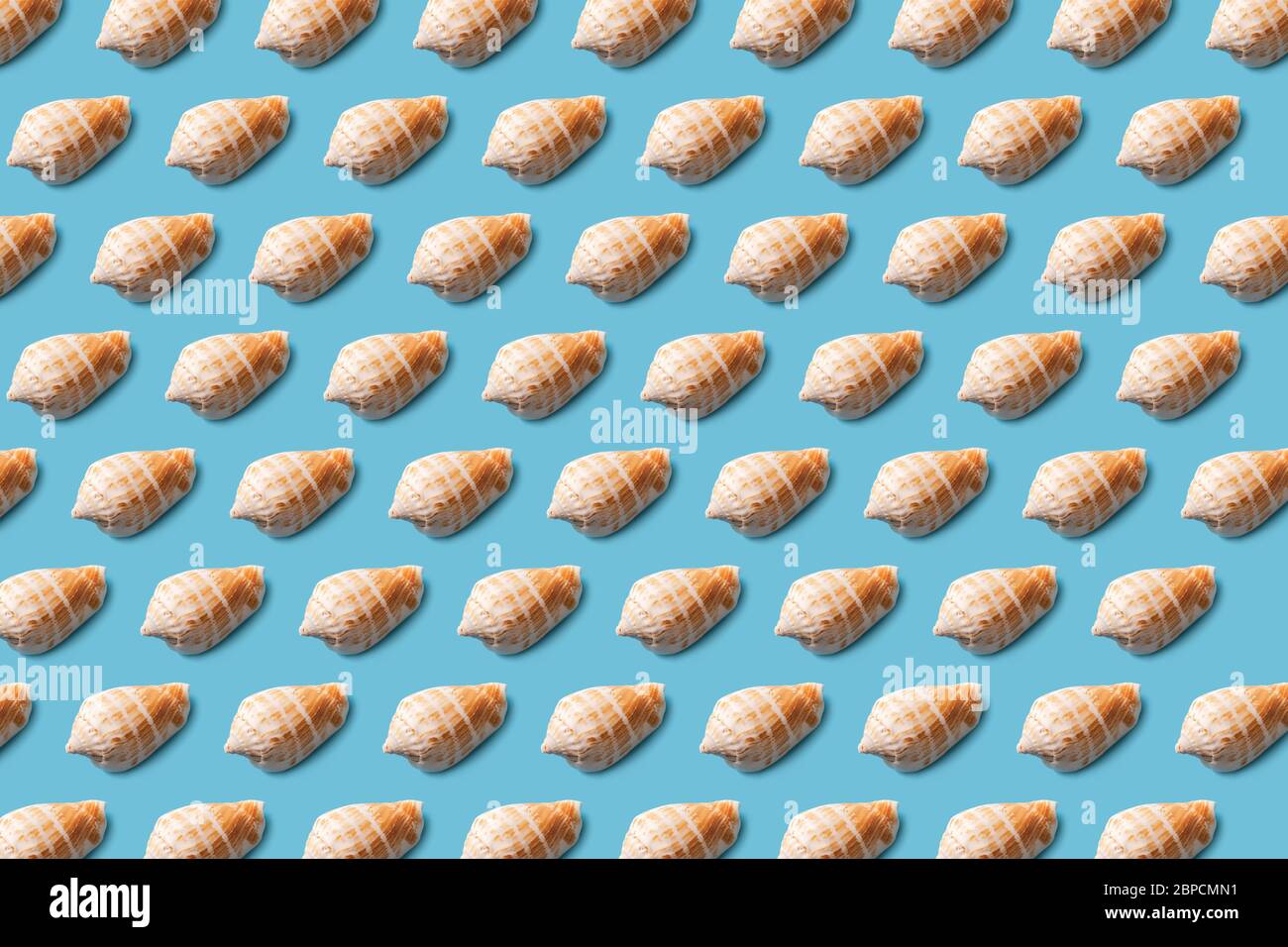 Seashell pattern on a blue background. Summer minimalist. Flat lay. Stock Photo