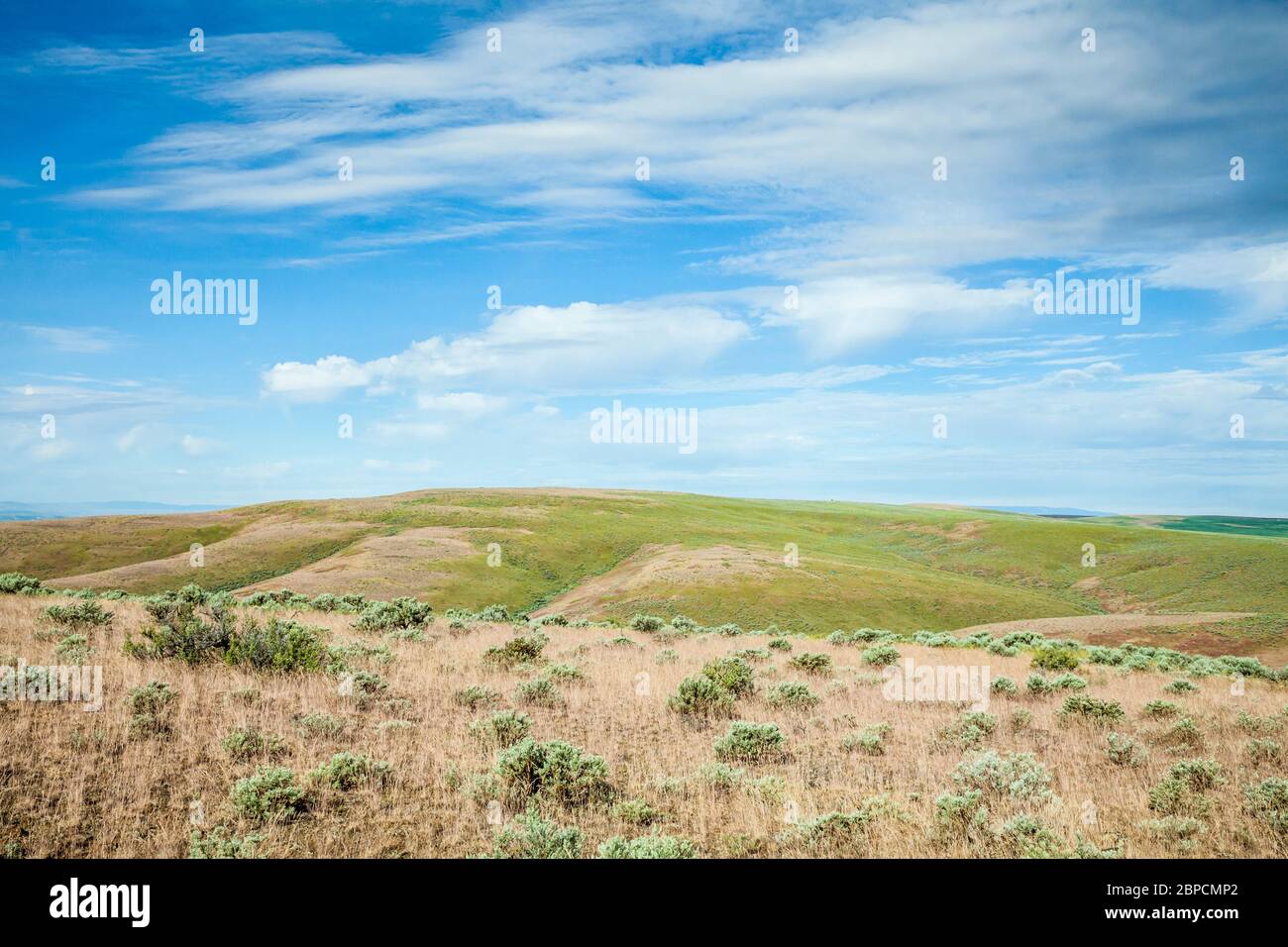 Eparata hi-res stock photography and images - Alamy